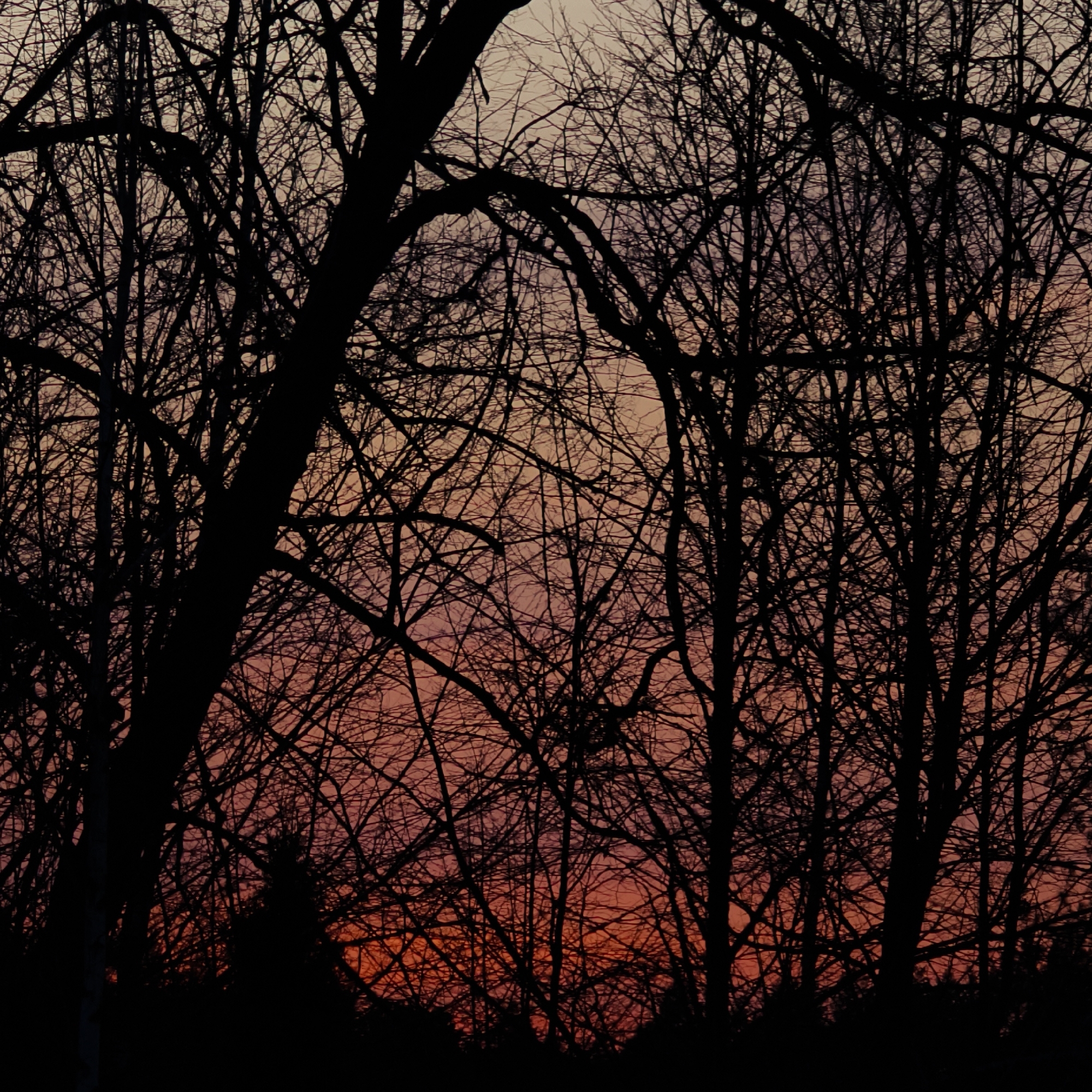 Evening outdoor cooking and moon photography session in rural Belarus