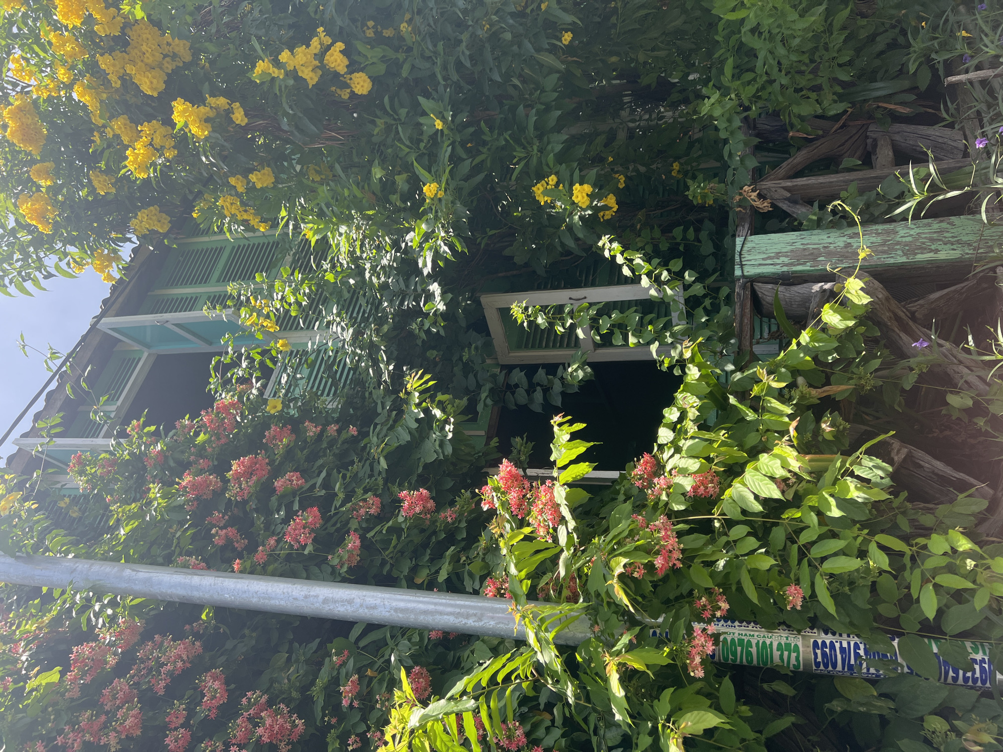 Hoi An's old town: gardens, weathered doors, and a vintage sewing machine