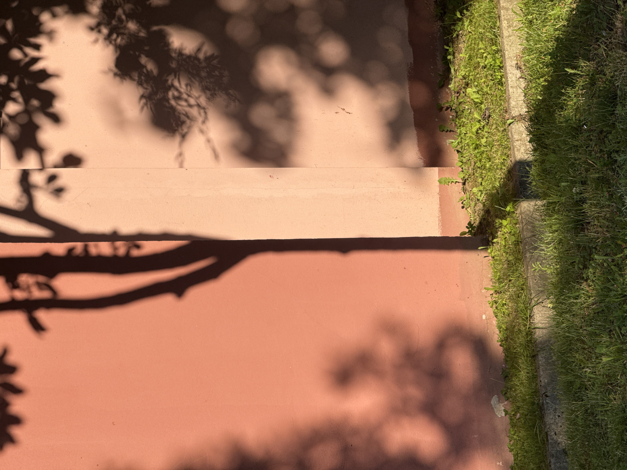 Street-level details: murals, berries, and shadow play