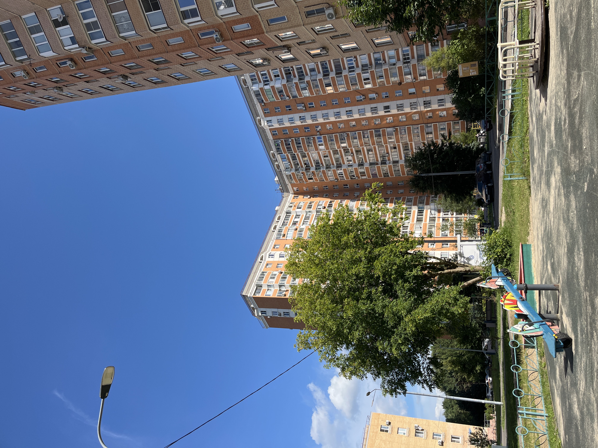 Playground and urban forest outing in Balashikha, Russia