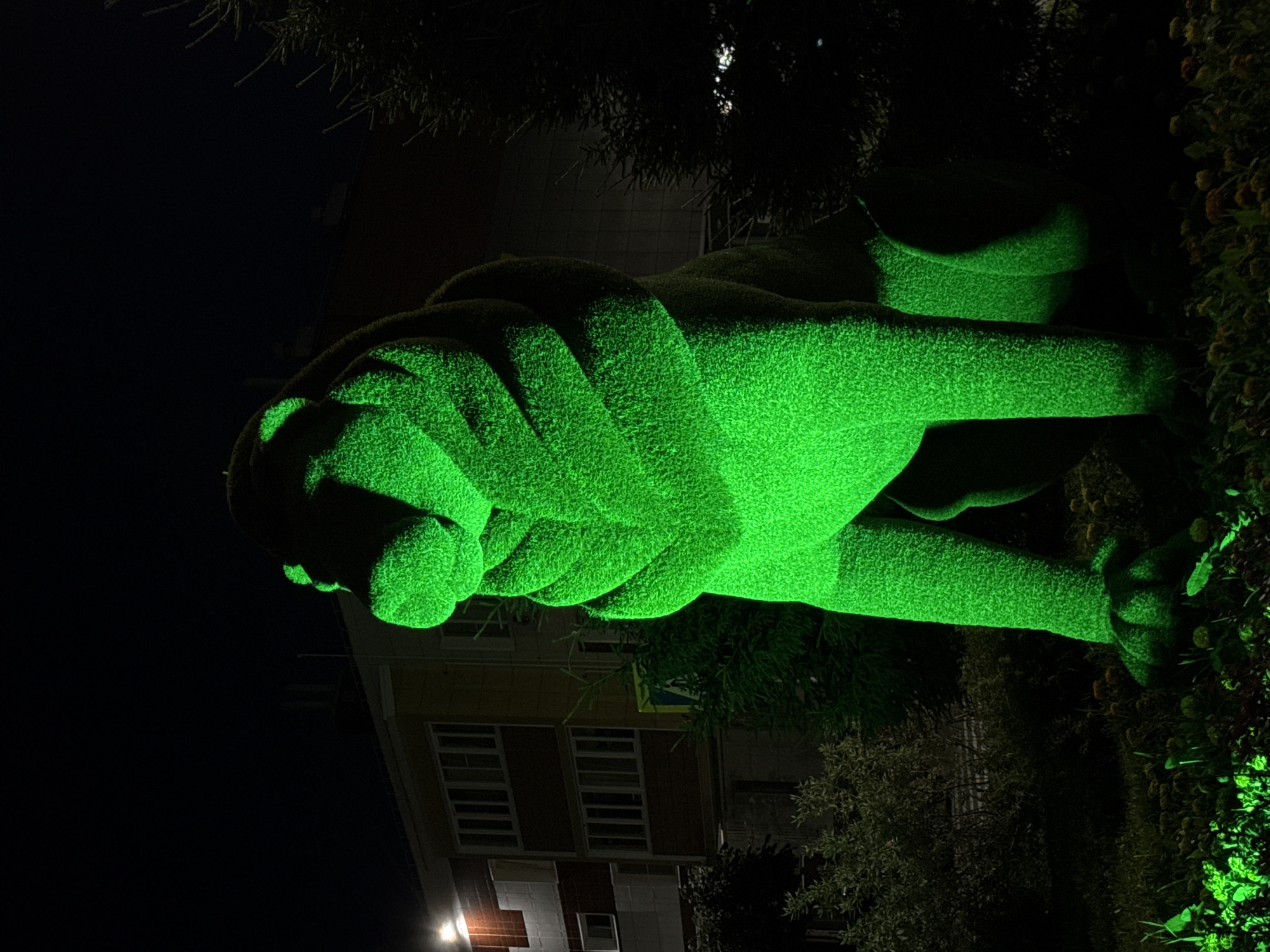 Green-lit topiary animals glow in a Russian park at night