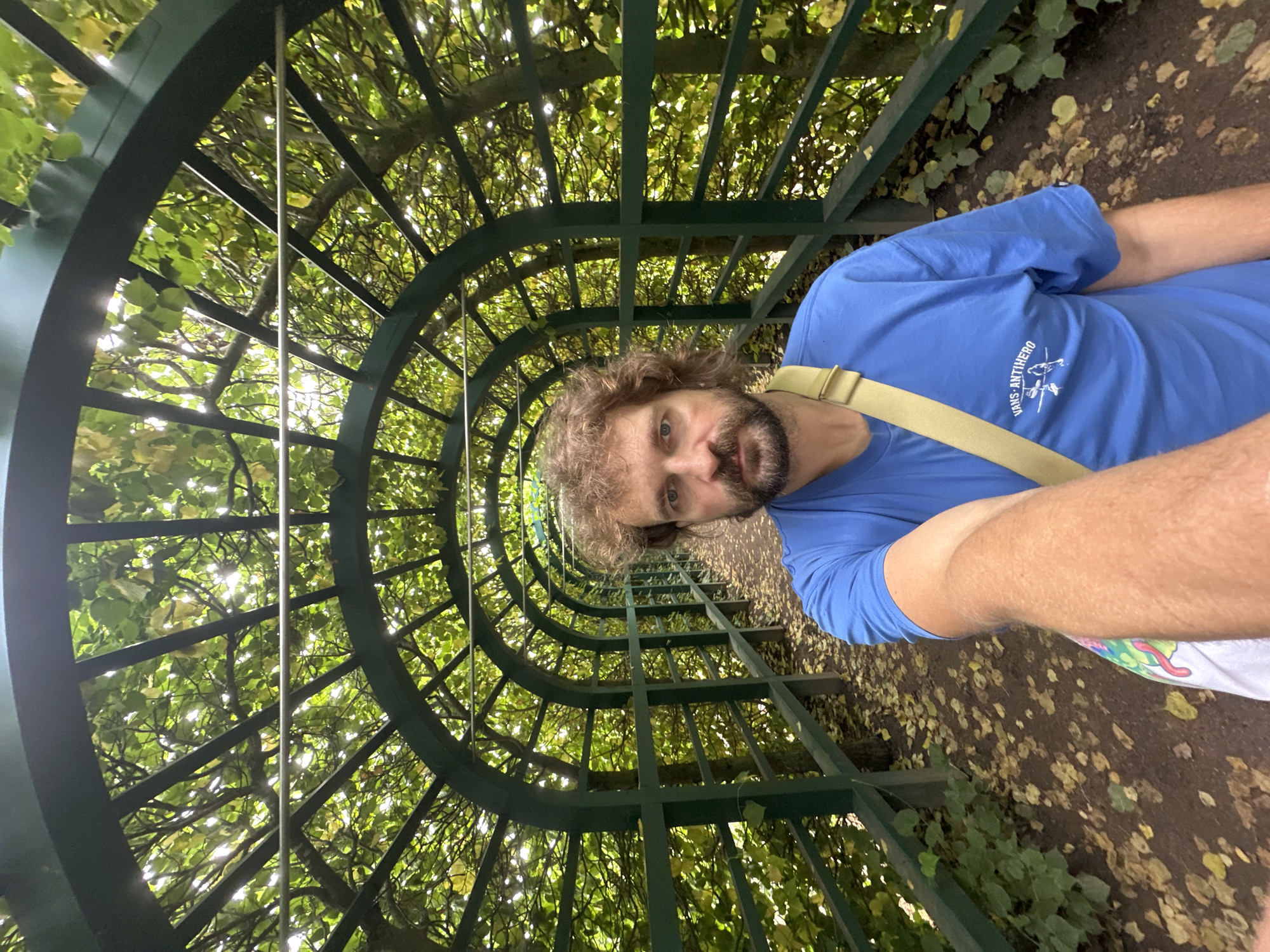 Peterhof Palace gardens and Grand Cascade fountains, July morning