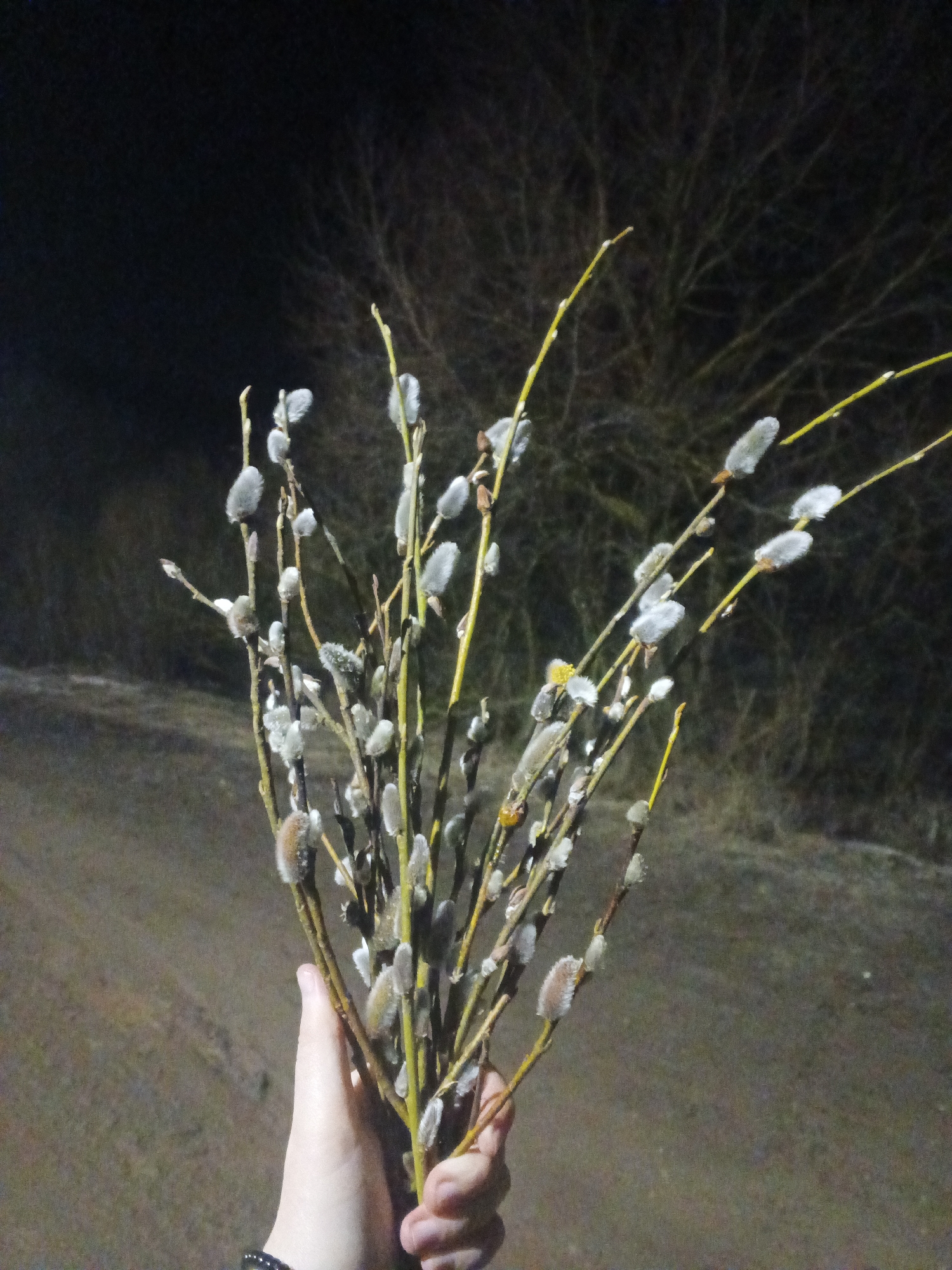 Evening walk documented in Rusalevka, Russia with seasonal observations