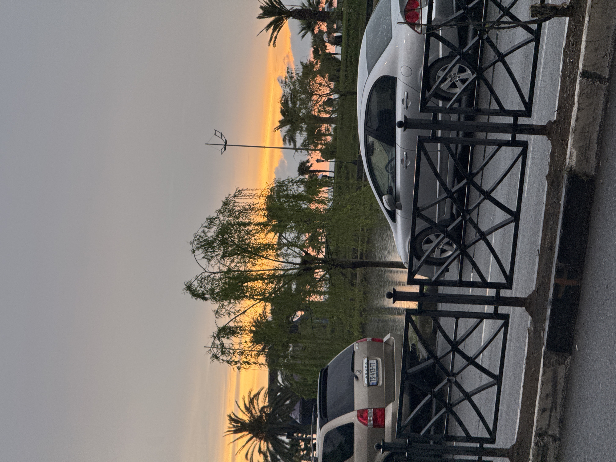 Batumi evening street scene and indoor dog captured simultaneously