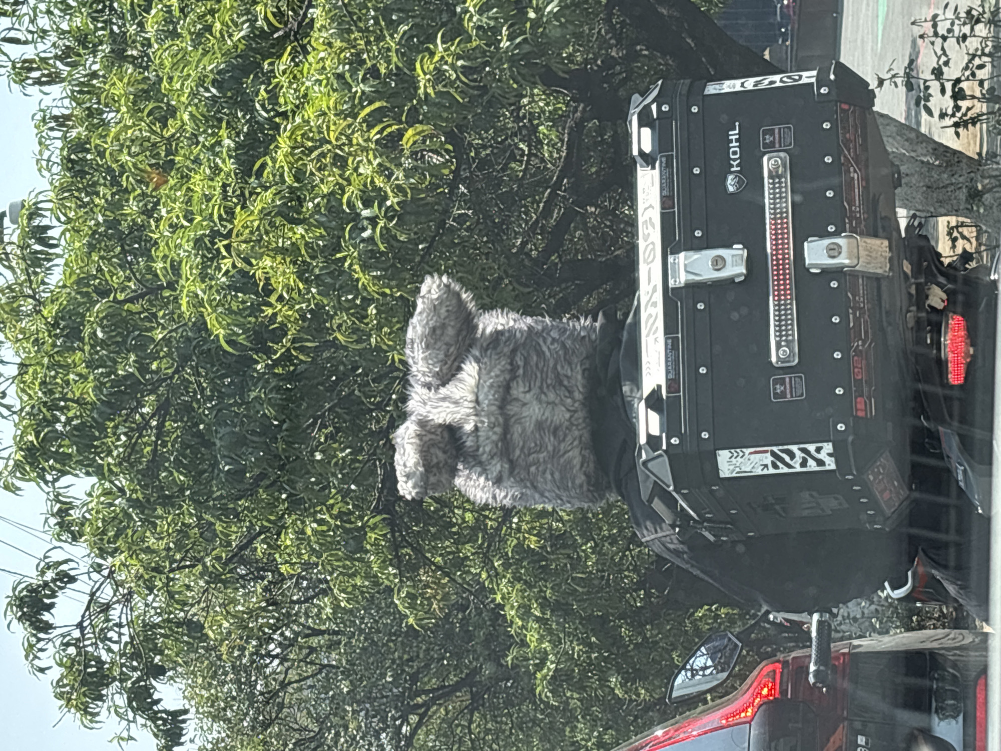 Customized motorcycle spotted with storage box in Mexico City