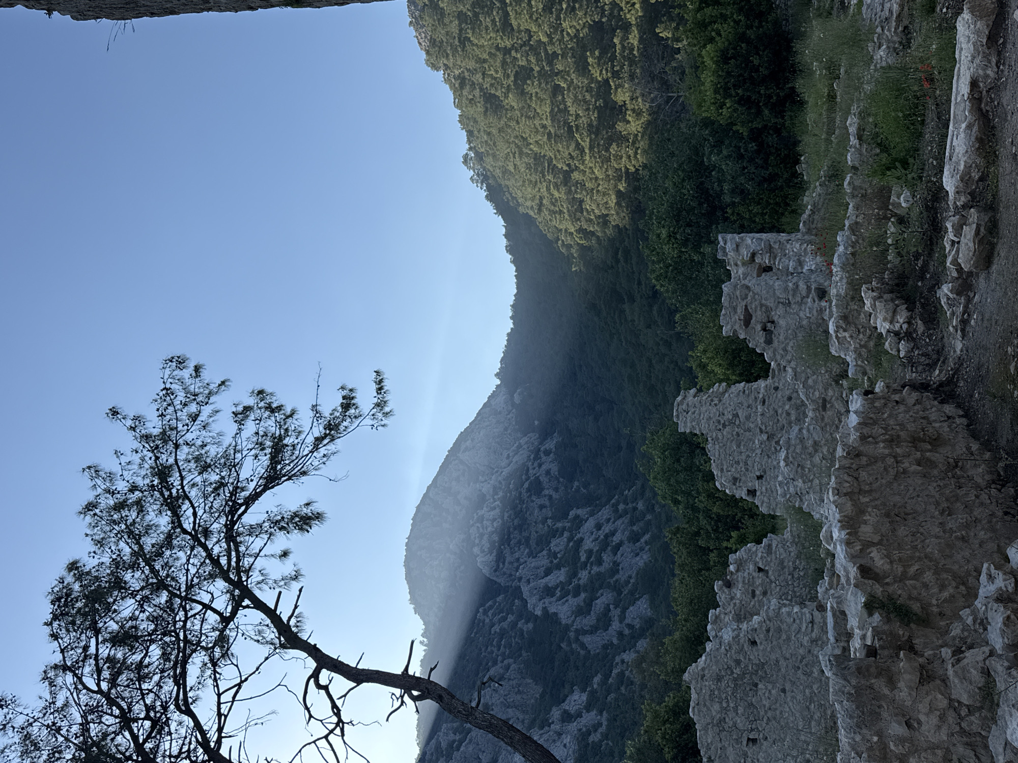Spring wildflowers bloom among ancient ruins in Kumluca, Turkey