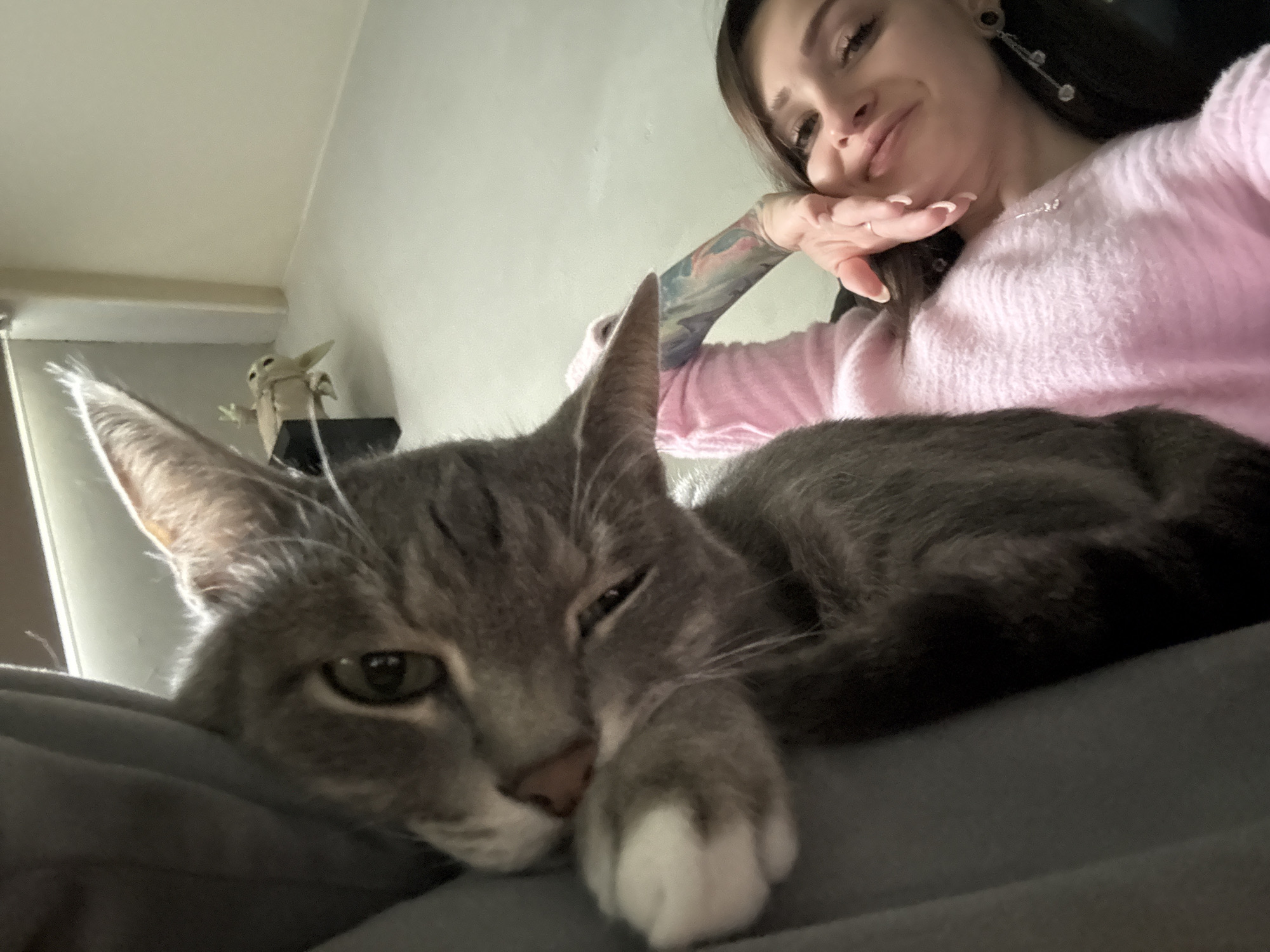 Woman photographed with grey cat in Reutov home