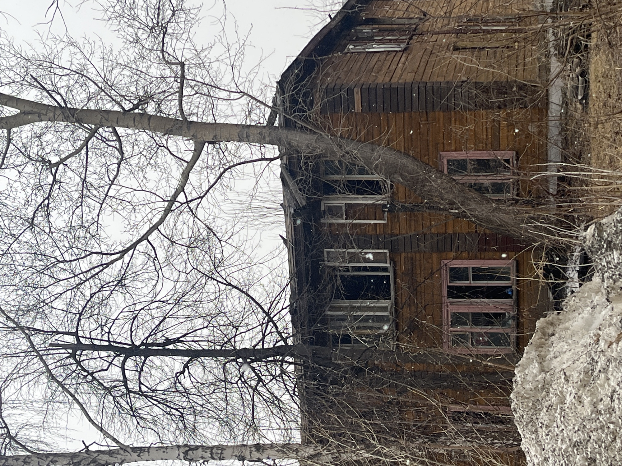 Ordinary morning moments documented across Novosibirsk neighborhoods