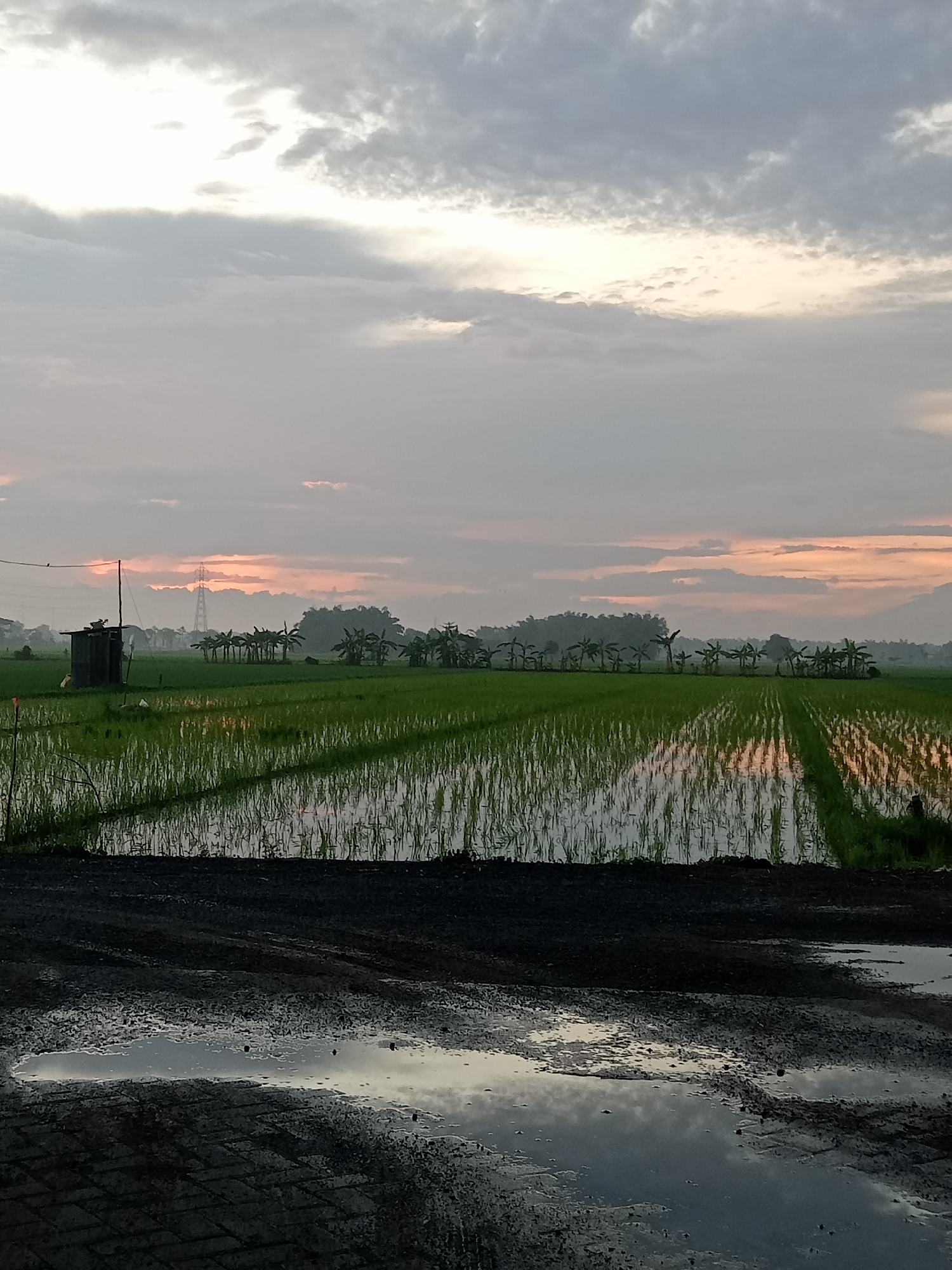 Rural Bungur landscape captured during twilight hours