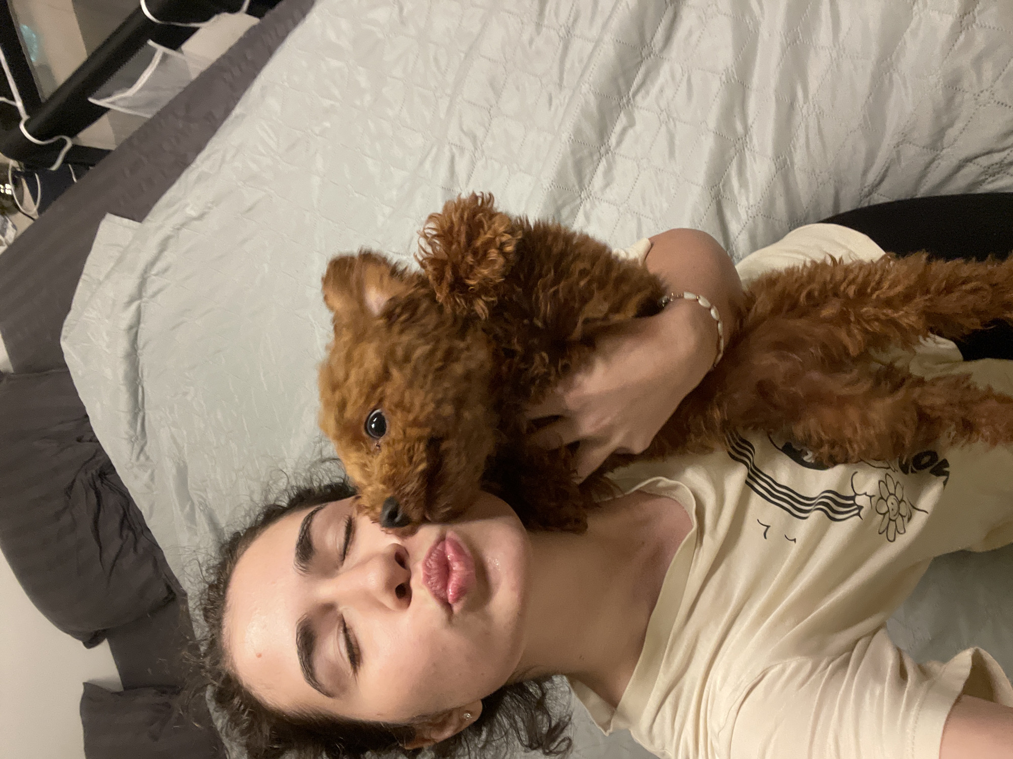 Quiet domestic moments with pets and flowers in Sofia