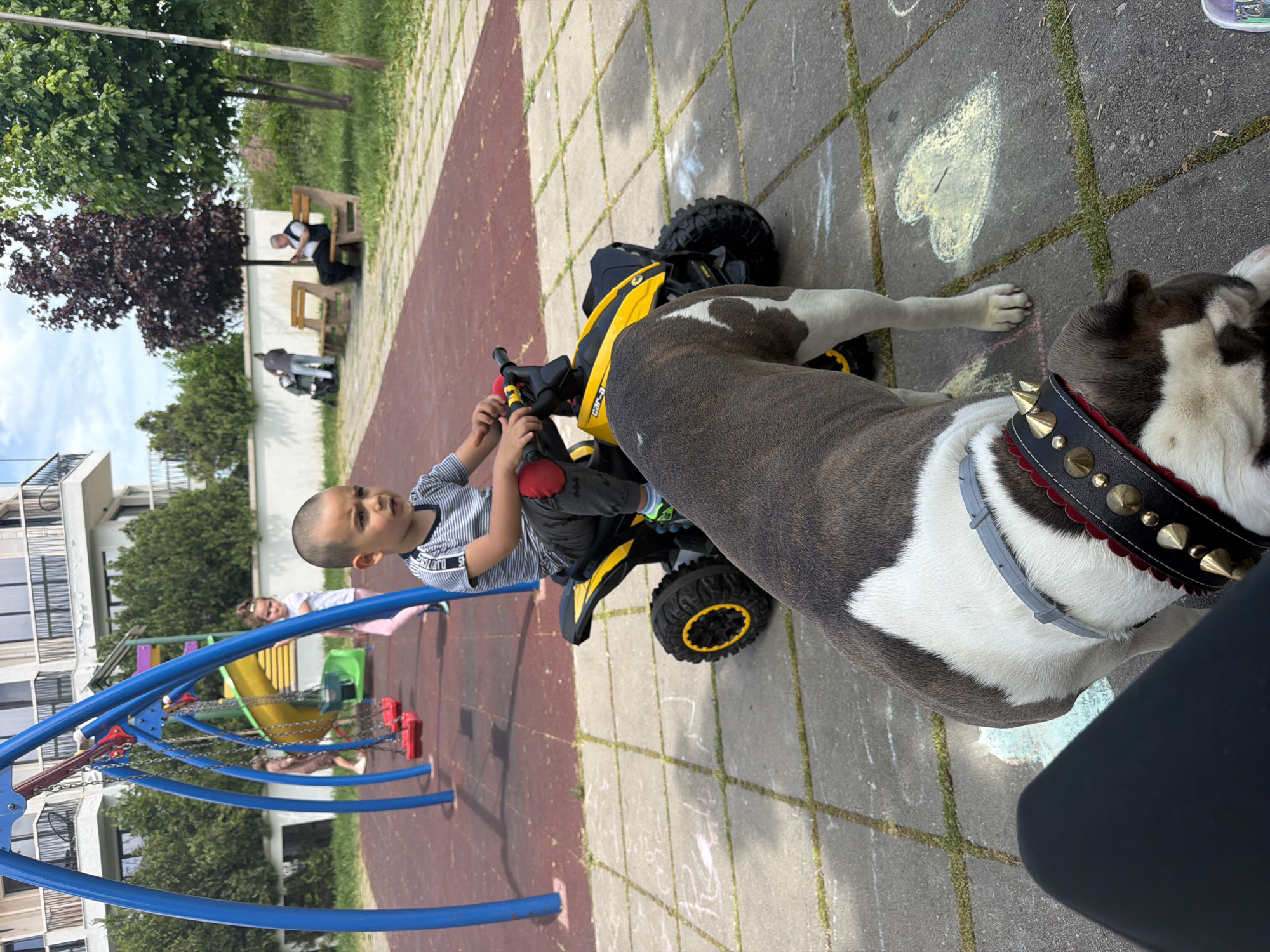 Child plays on toy ATV with dog in Burgas