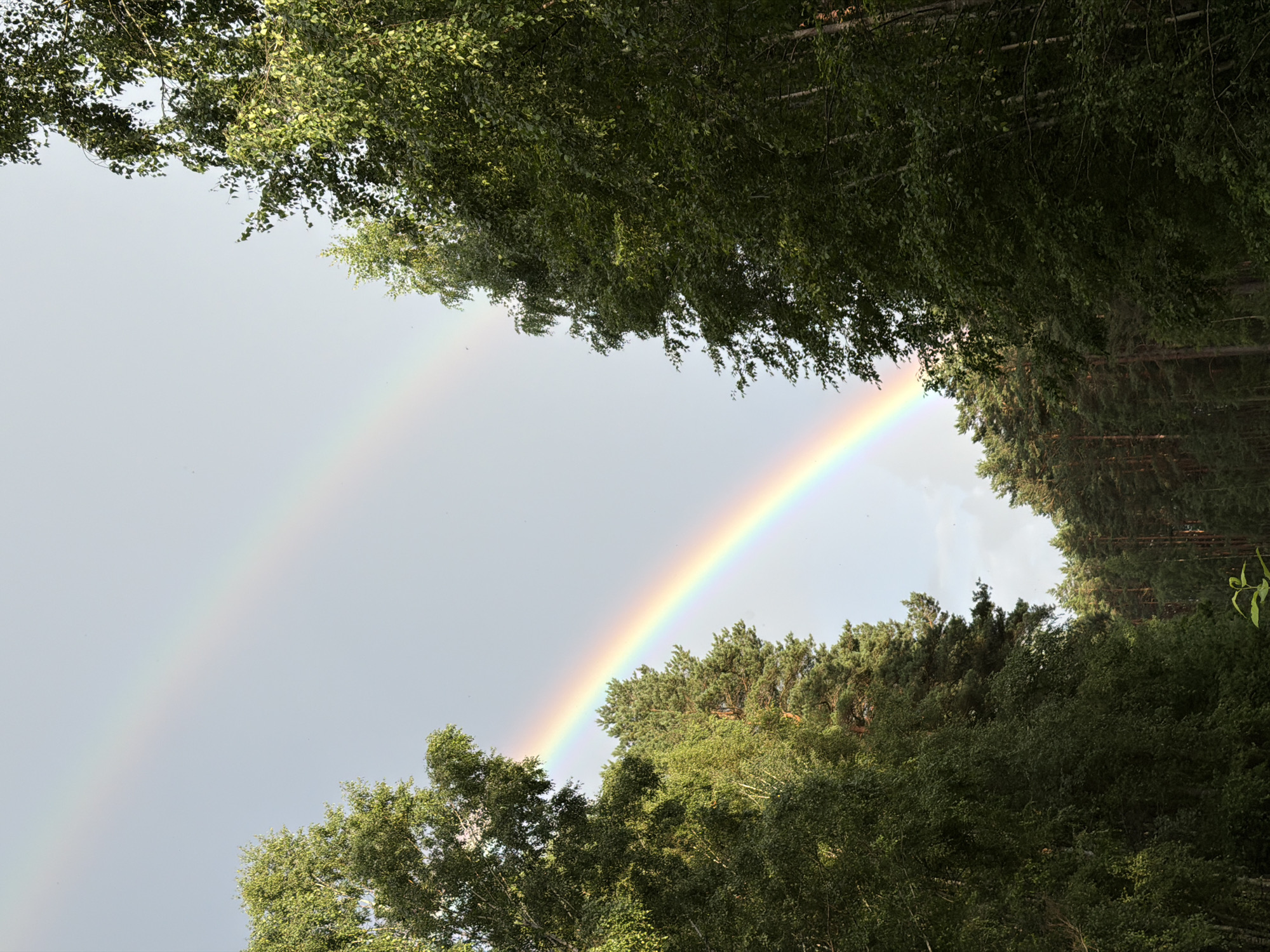 Double rainbows and pine forest paths outside Riga