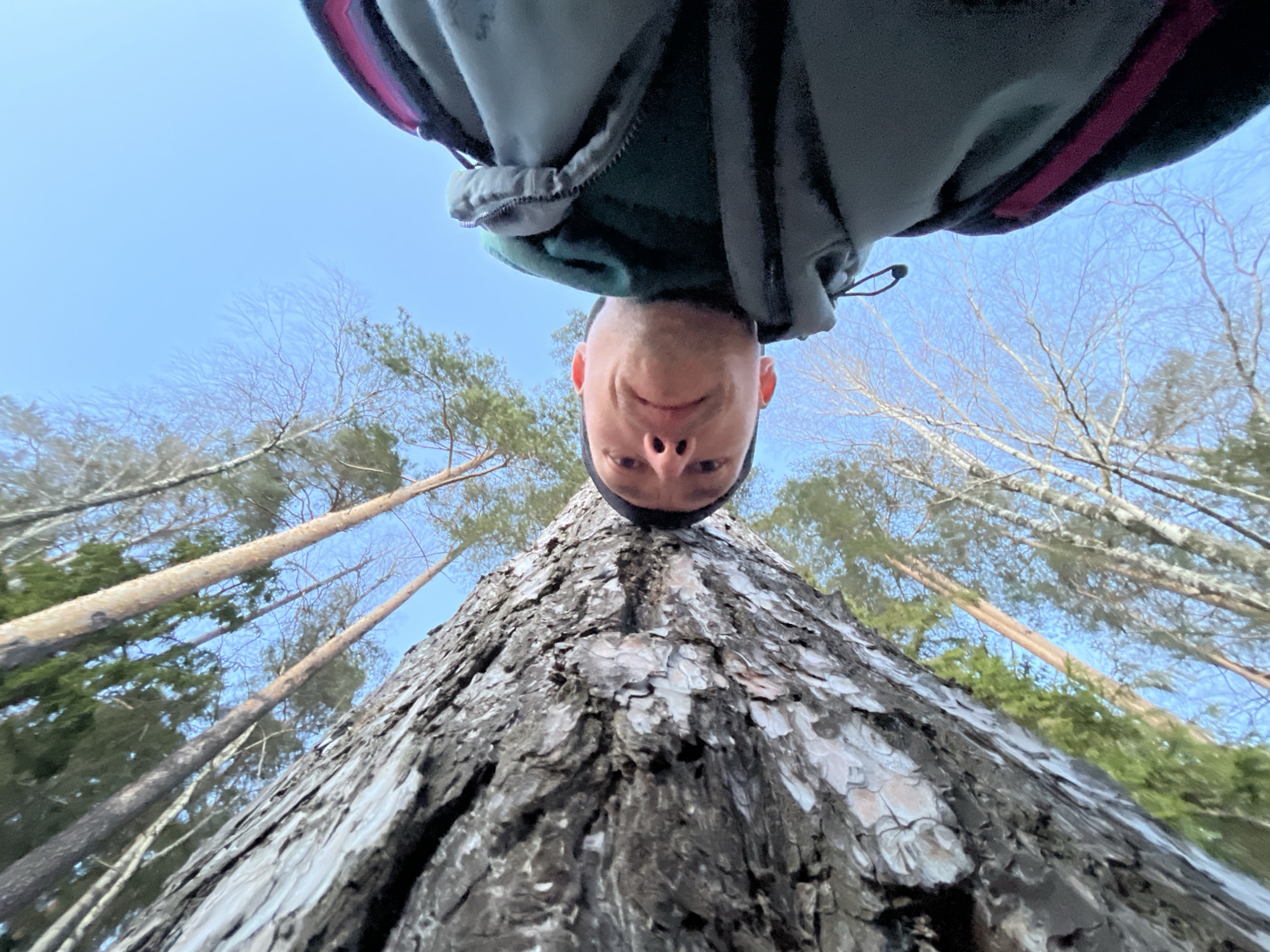 Forest visitor captures upward selfies among pine trees in Russia