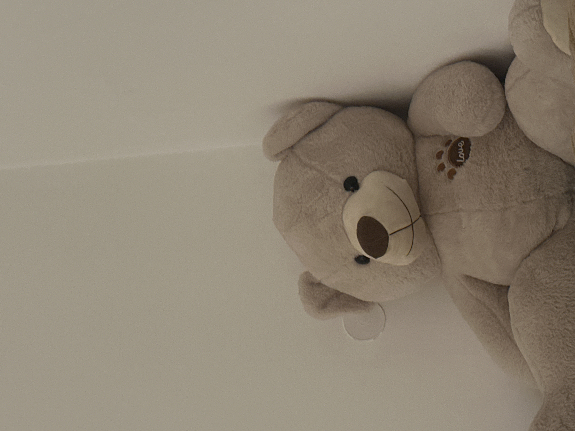 Personal moments captured in Sofia apartment over two minutes