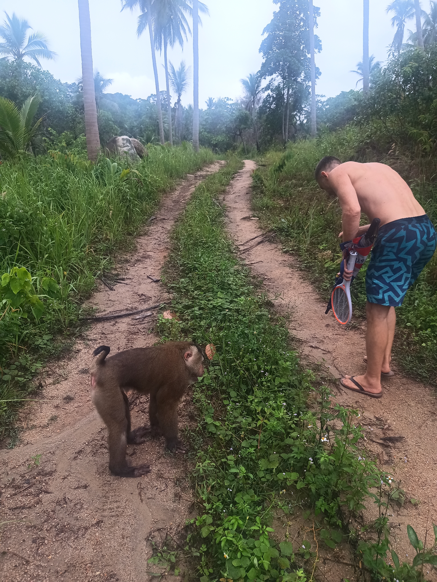 Man and monkey interact in Thai village tropical setting