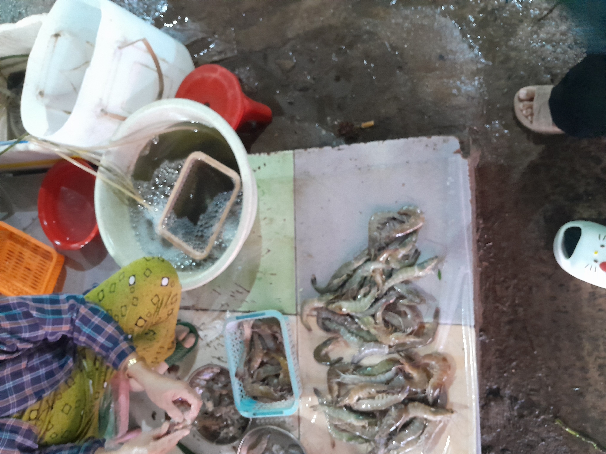 Phan Thiet market activity, with food hygiene concerns flagged