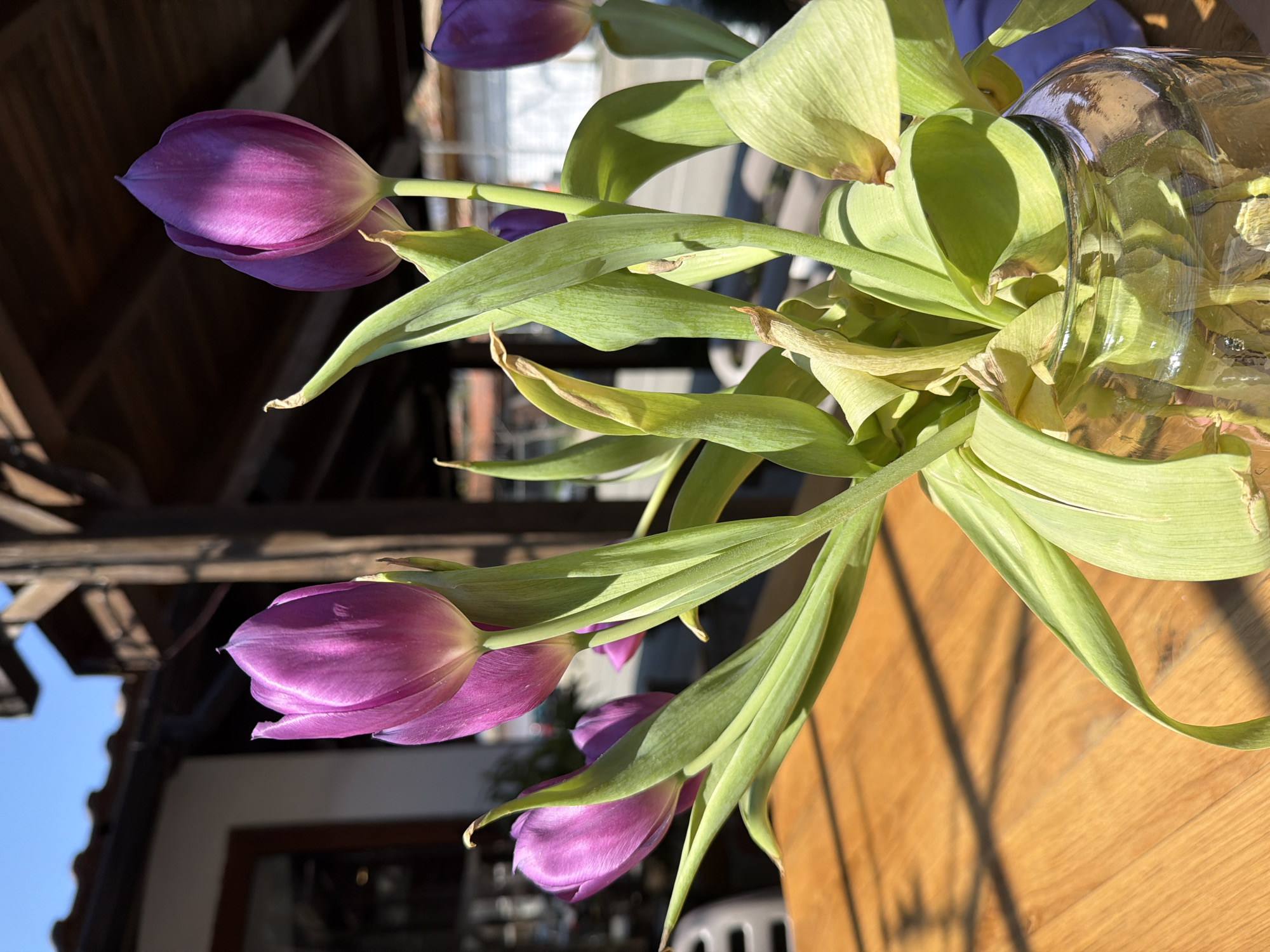Purple tulips displayed on shaded outdoor wooden table