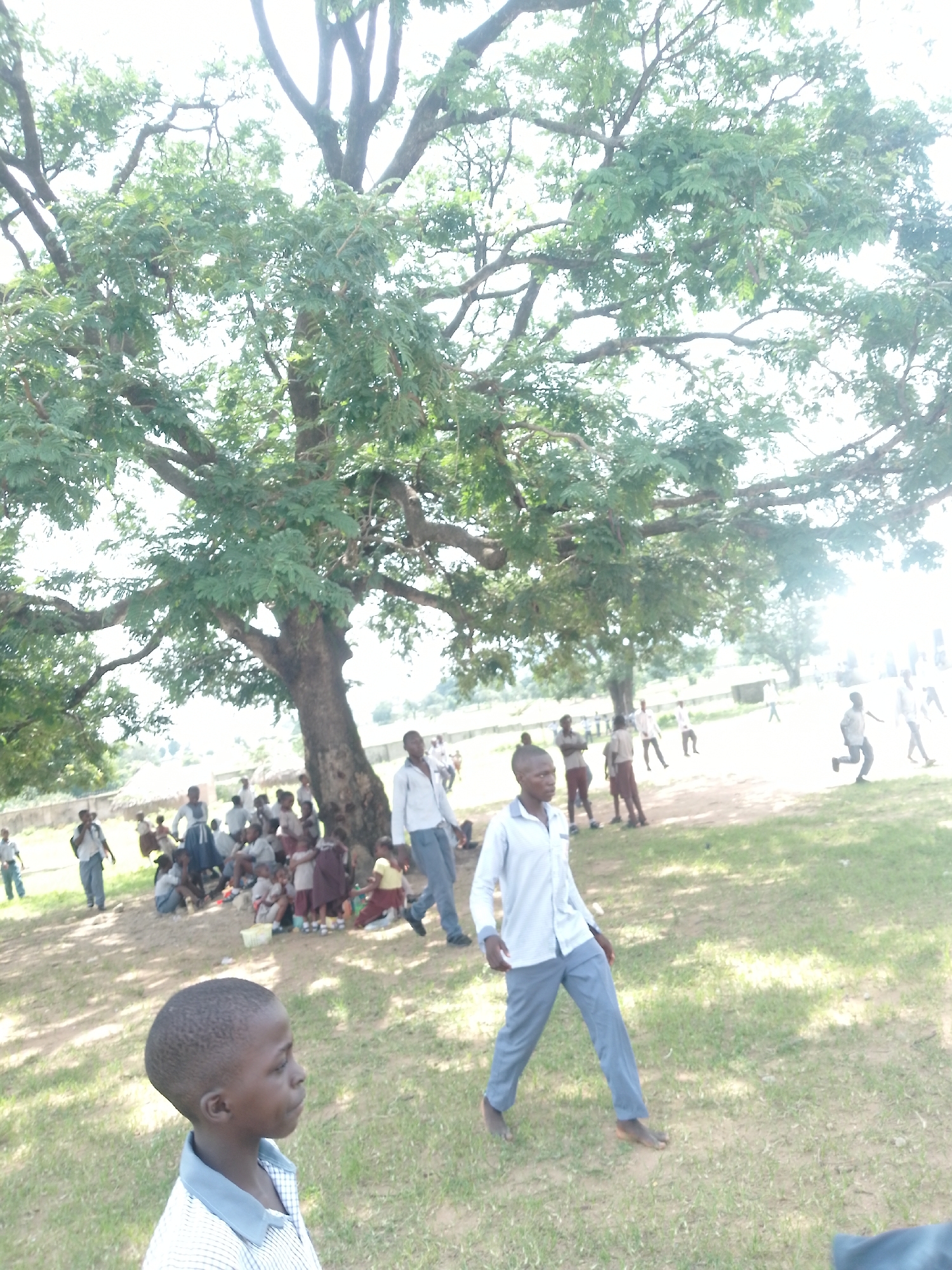 Morning activity at a West African school compound