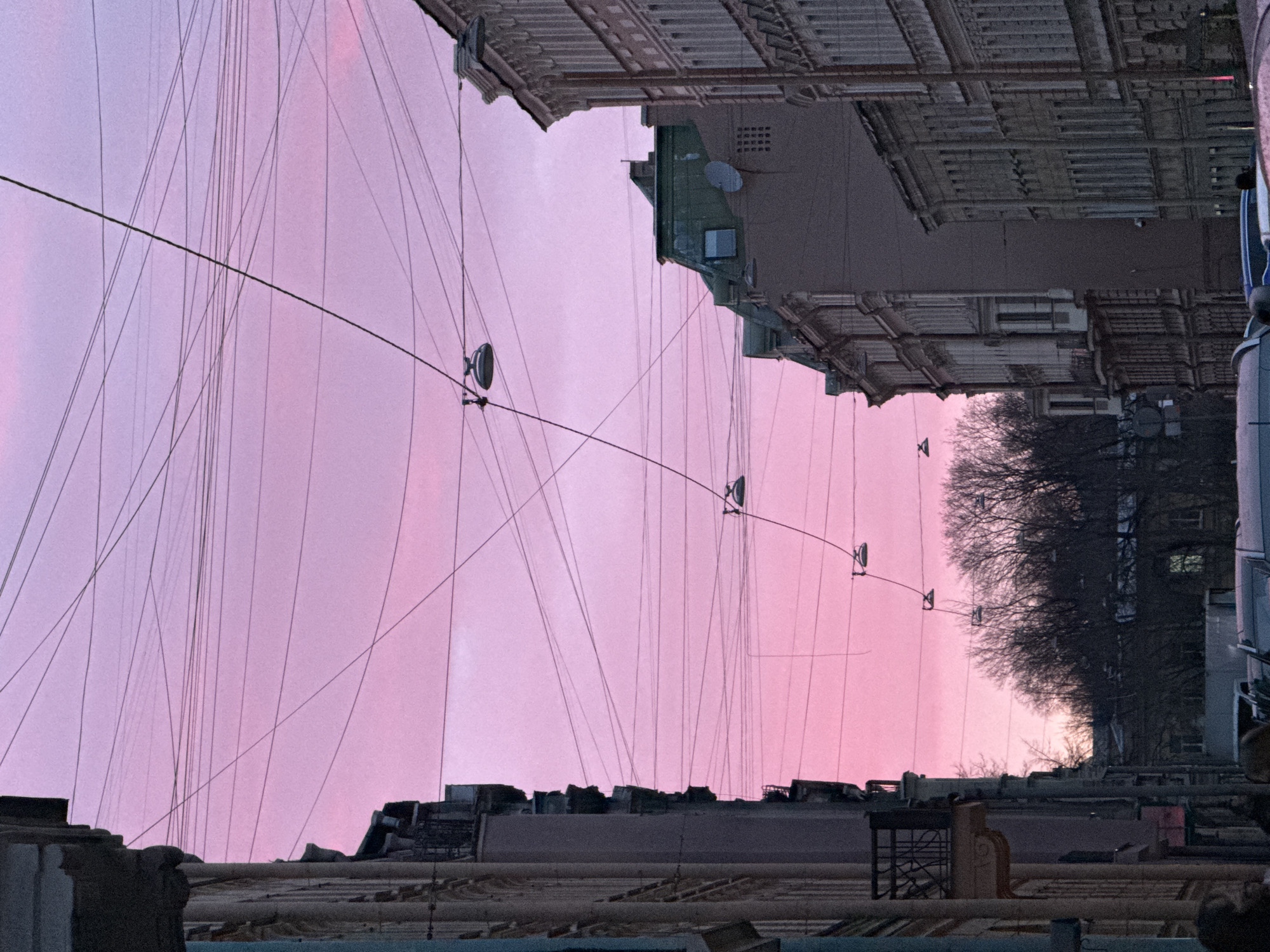Saint Petersburg's overhead cable network documented by witness