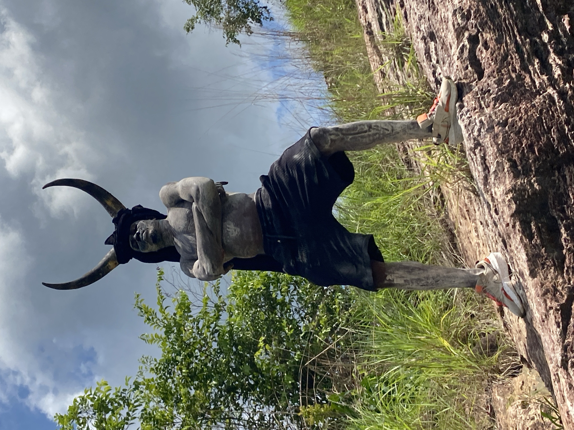 Horned statue spotted in grassy area in Achara, Nigeria