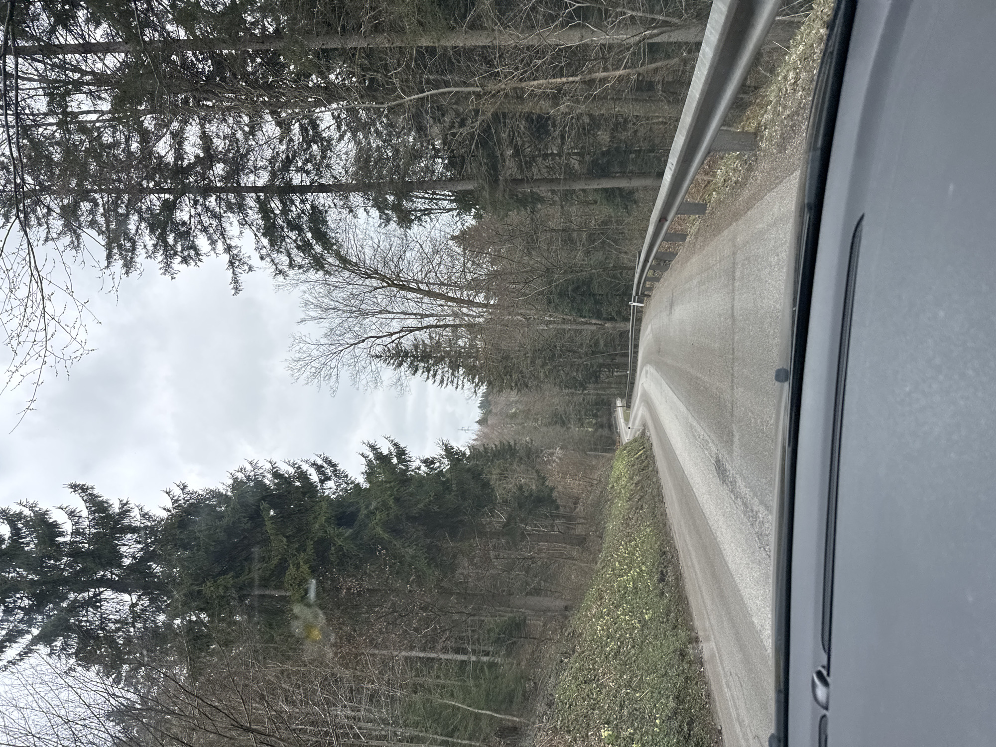 Vehicle drives through forested road near St. Leonhard am Wald