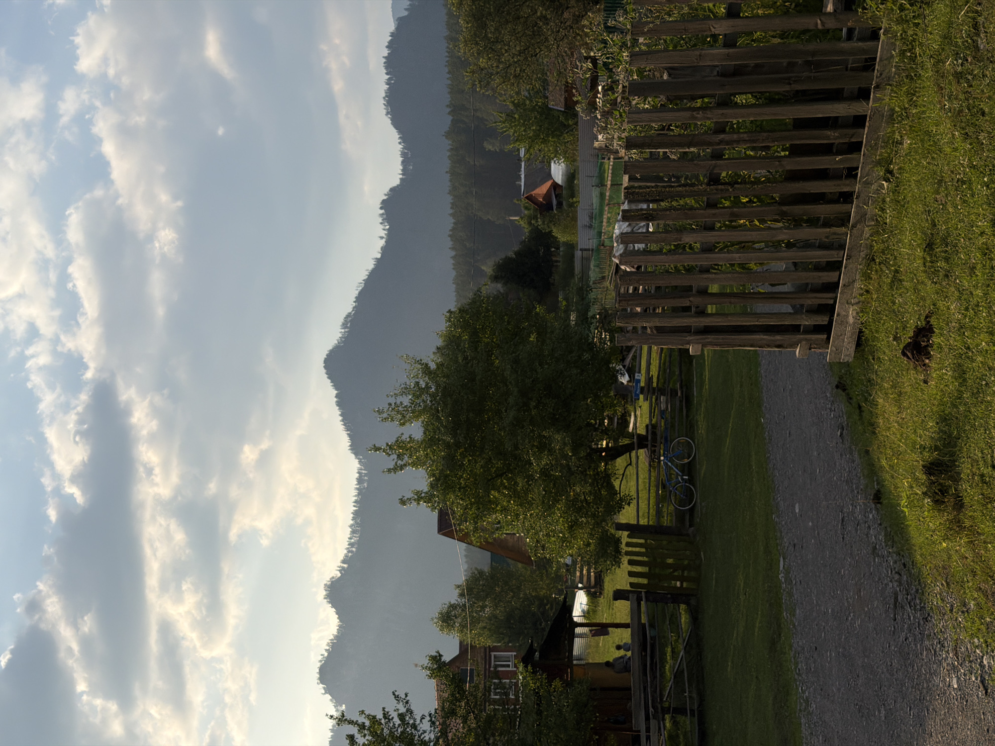 Quiet afternoon in Askat's rural landscape, calves and all