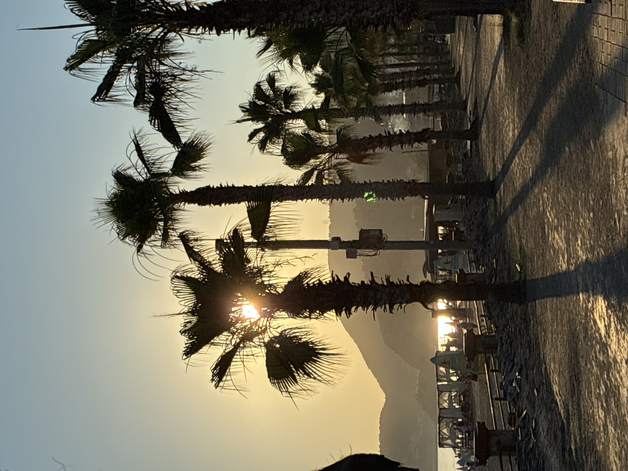 Sunset stroll along Alanya's beach promenade, cats included
