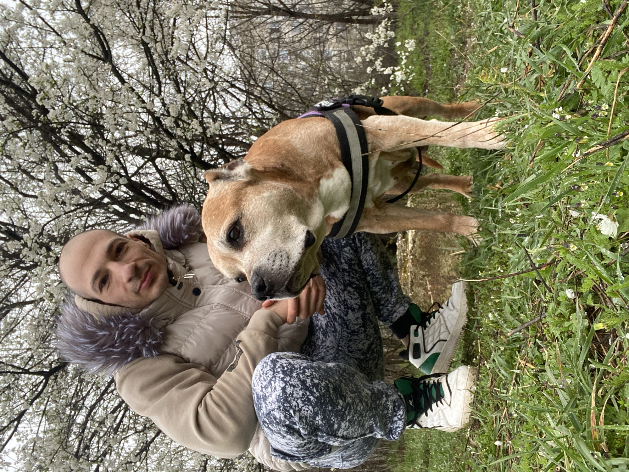 Man and dog enjoy spring park outing in Pleven