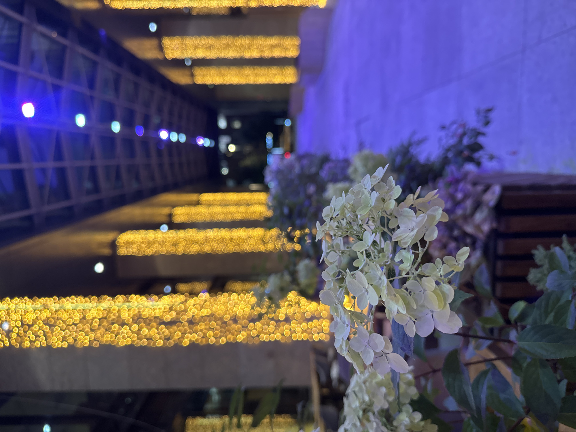 Moscow after dark: festive walkways and blue-lit modern architecture