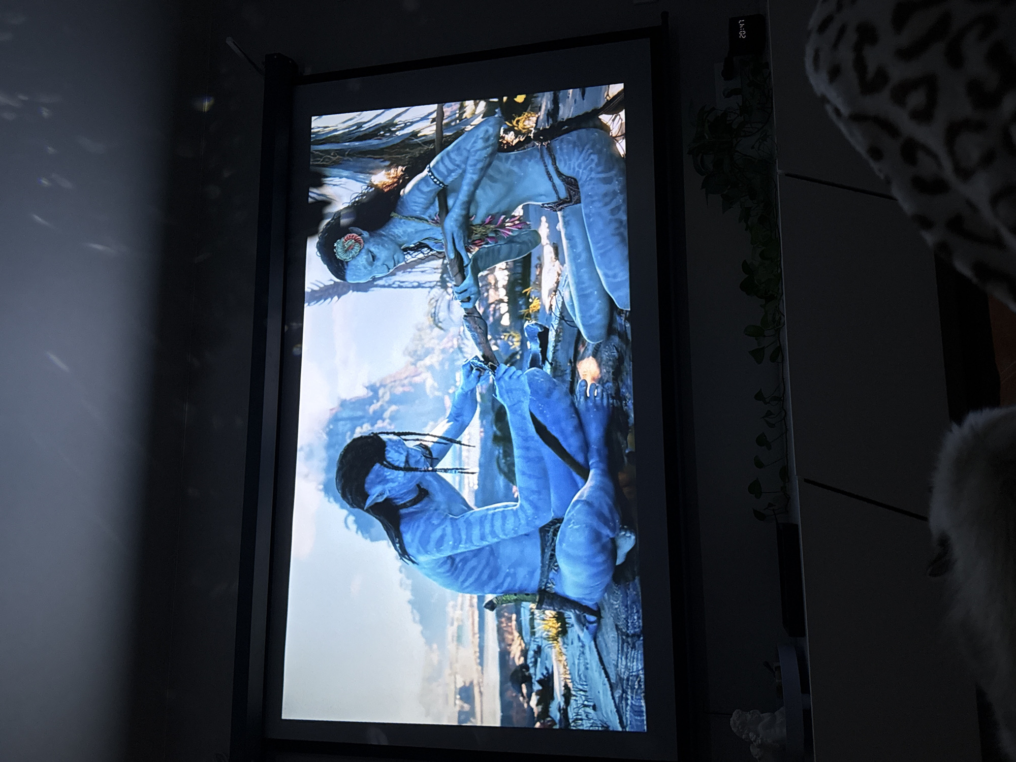 Cat watches Avatar on TV in Rostov-on-Don home