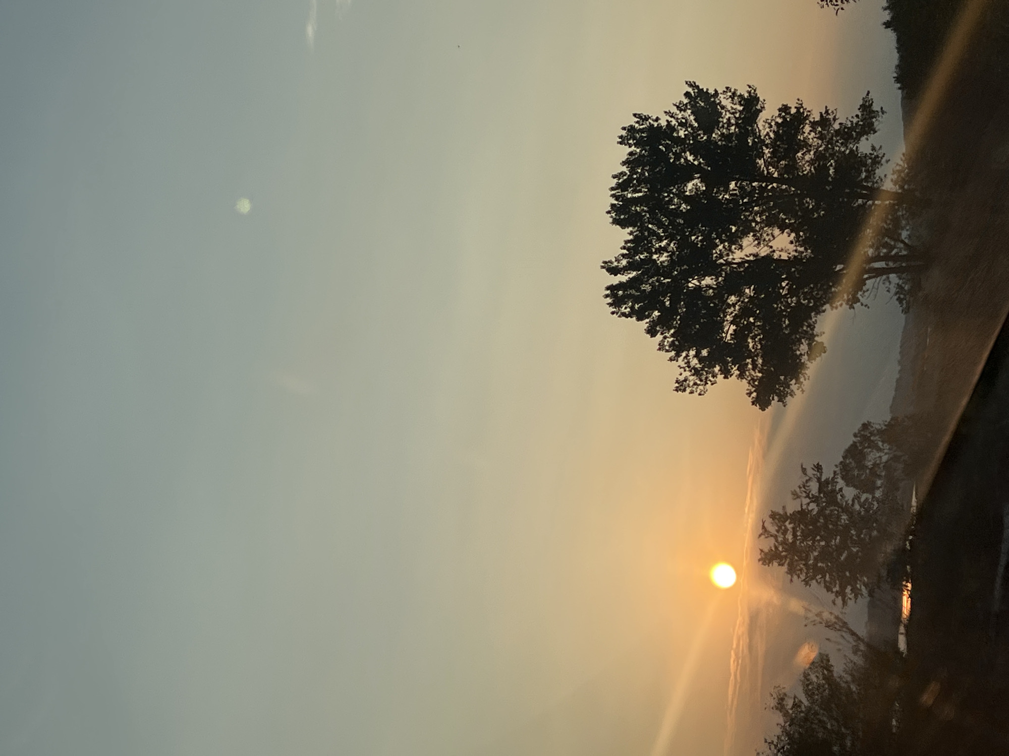 Quiet summer evening in rural Vertelka — cats, golden skies, everyday moments.