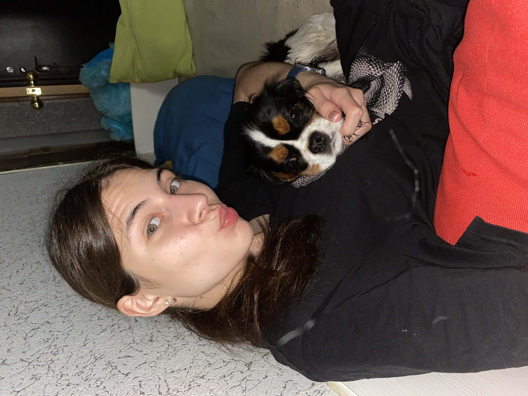 Casual indoor moments with a Cavalier King Charles Spaniel in Votkinsk