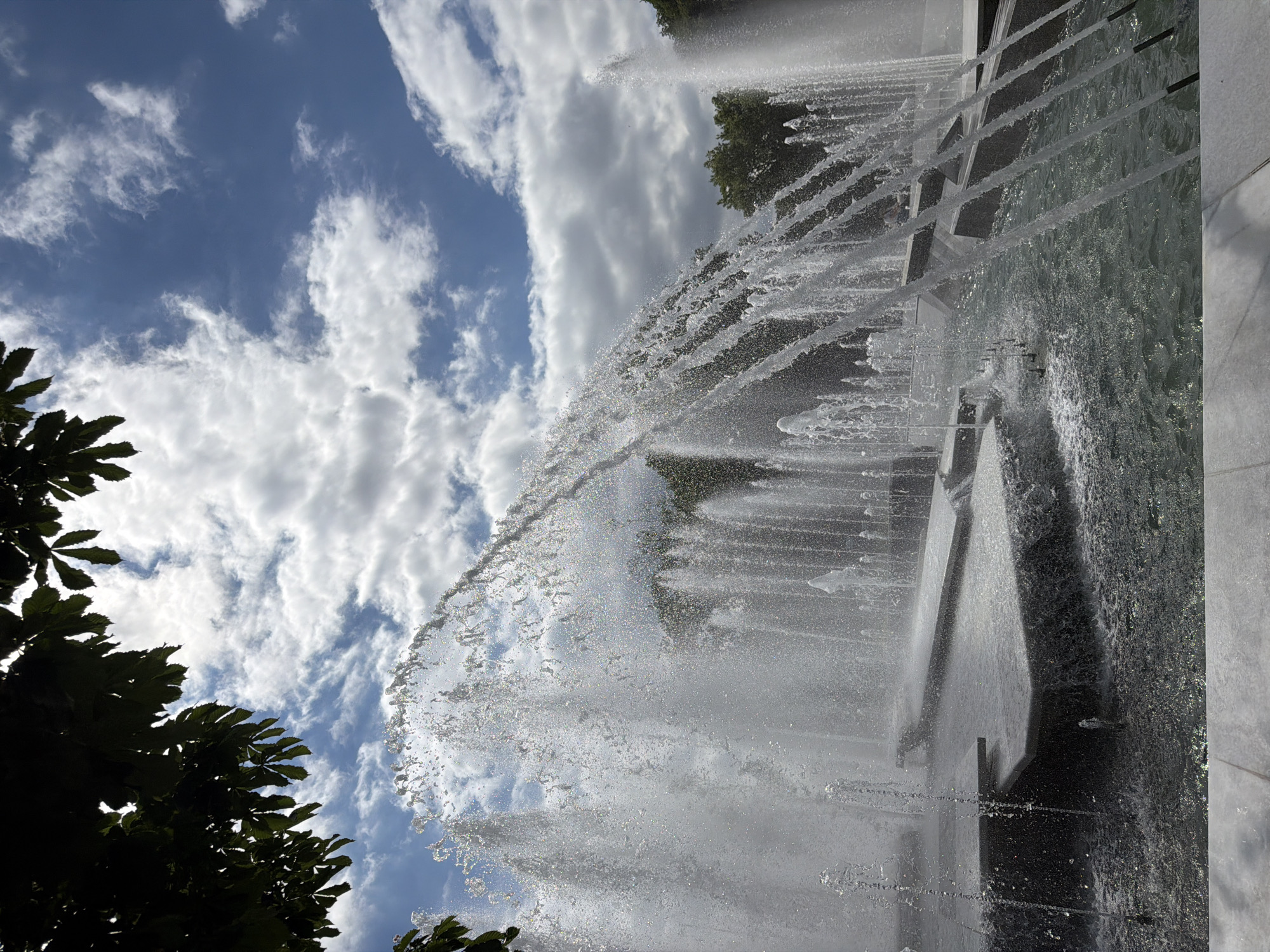 Fountain activity and urban wildlife documented in Pleven