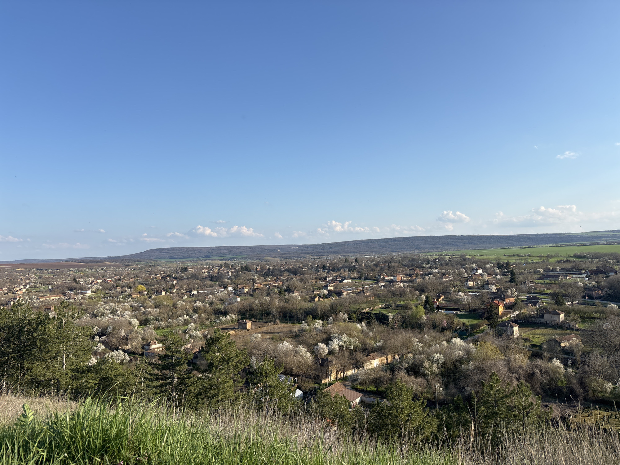 Elevated view captures town settlement with buildings and vegetation