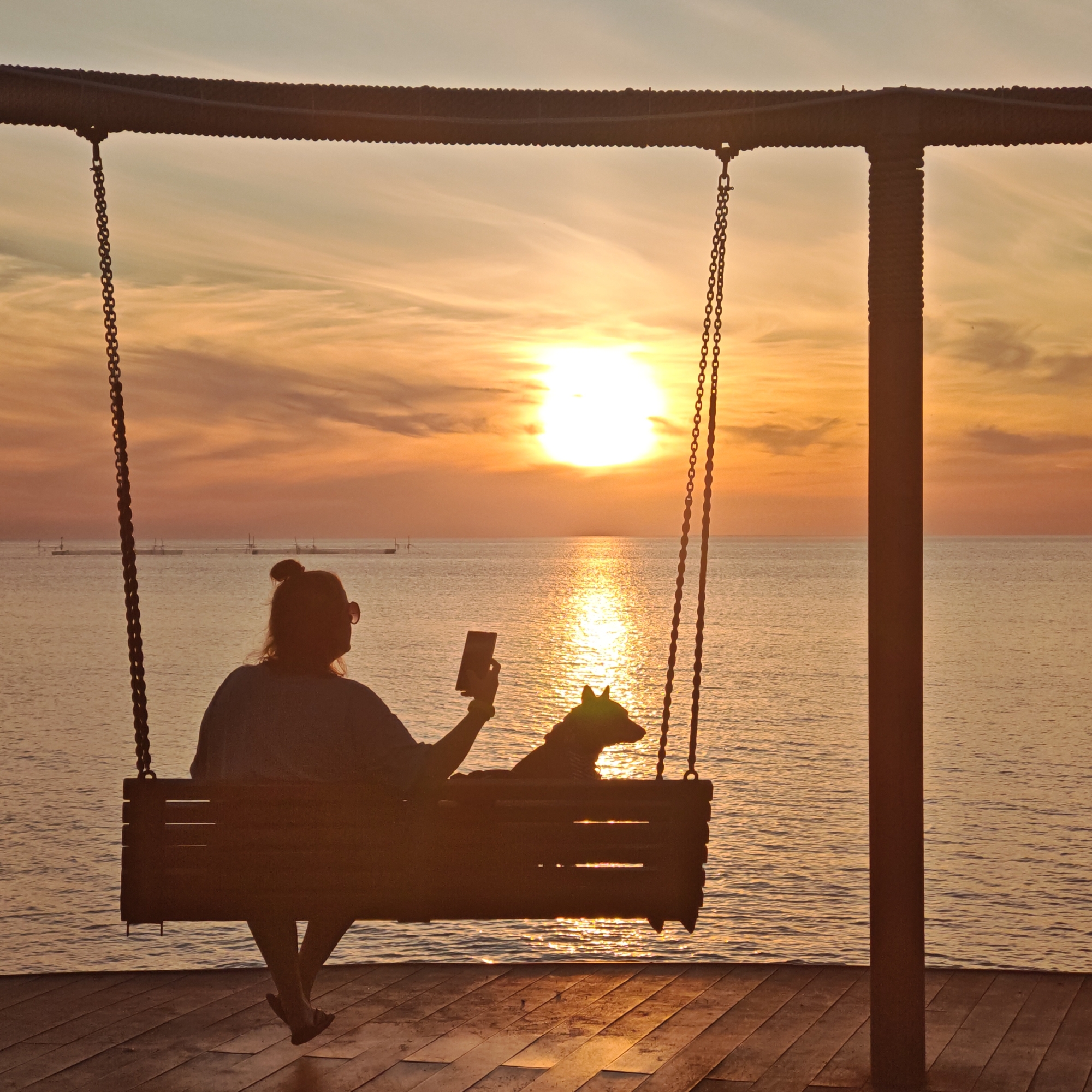 Peaceful sunset scenes with swings, pets captured during evening hour