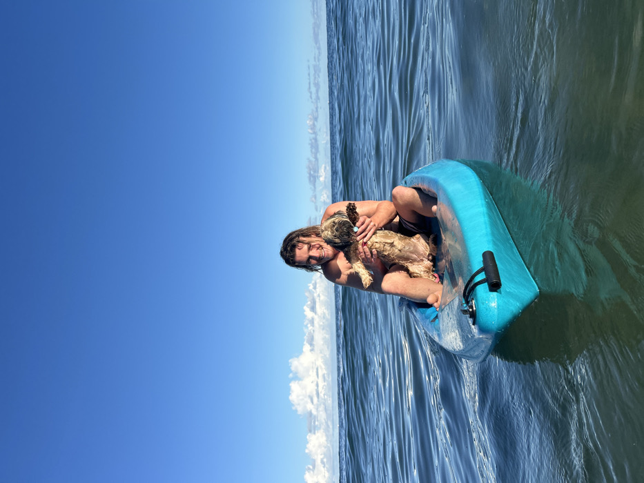 Man and dog spotted kayaking together off Bulli coast