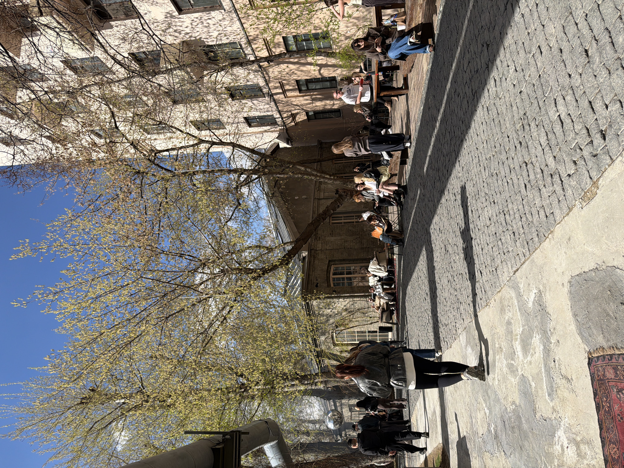 Outdoor social gathering documented in Moscow courtyard Saturday morning