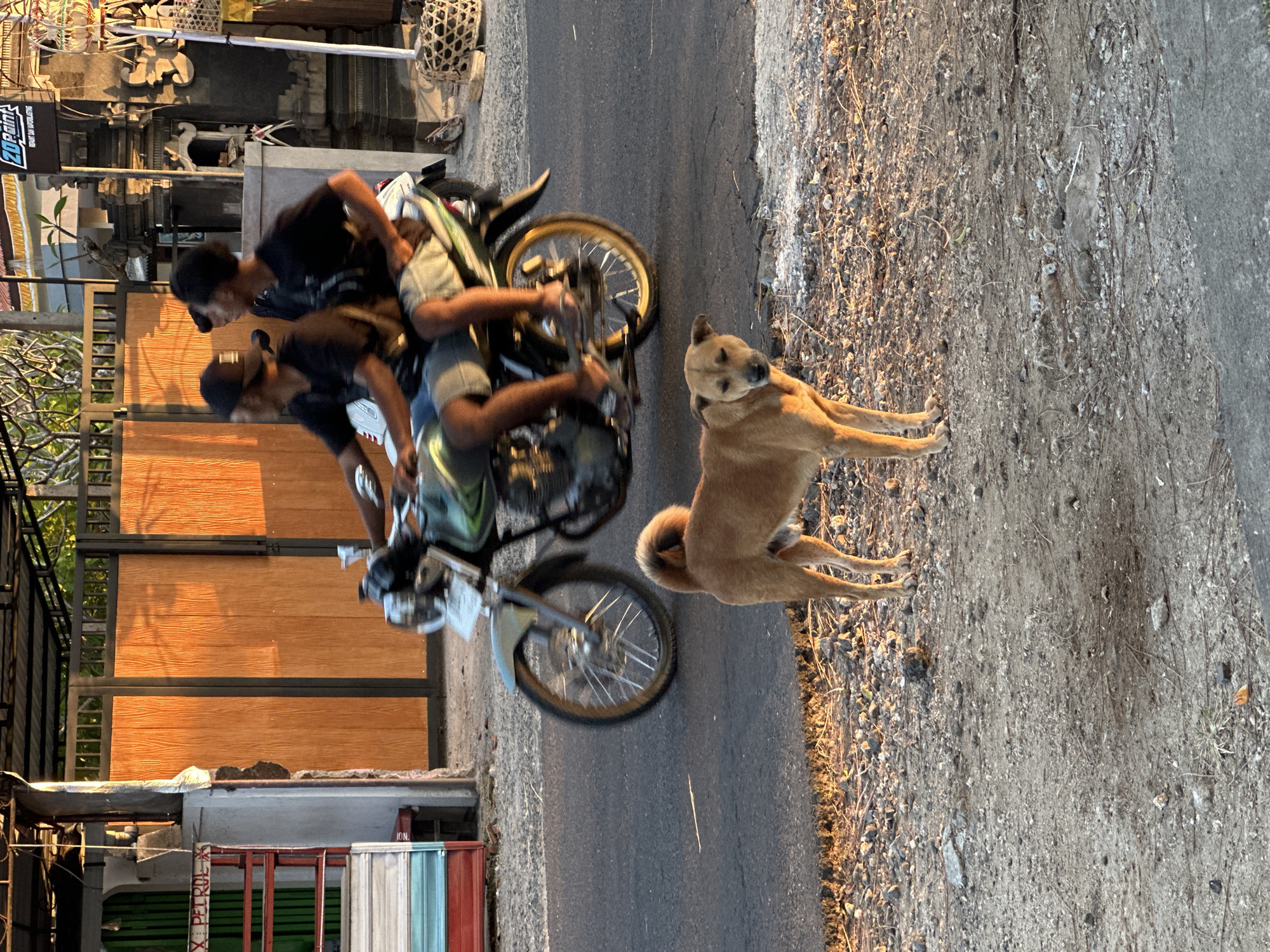 Street life, nature, and traditional architecture in Kuta Selatan