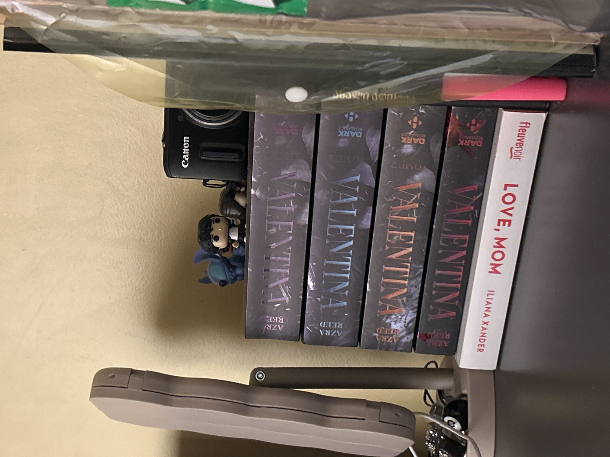 Romance books and specialty Pringles spotted in Nanterre