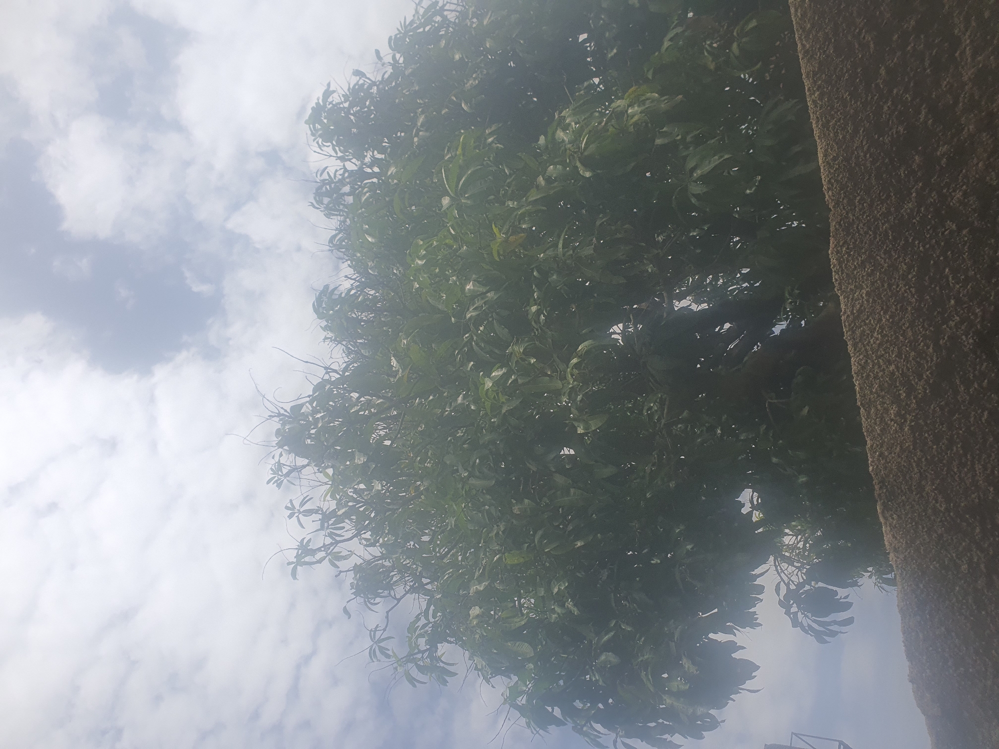 A quiet afternoon drifting through everyday Jos