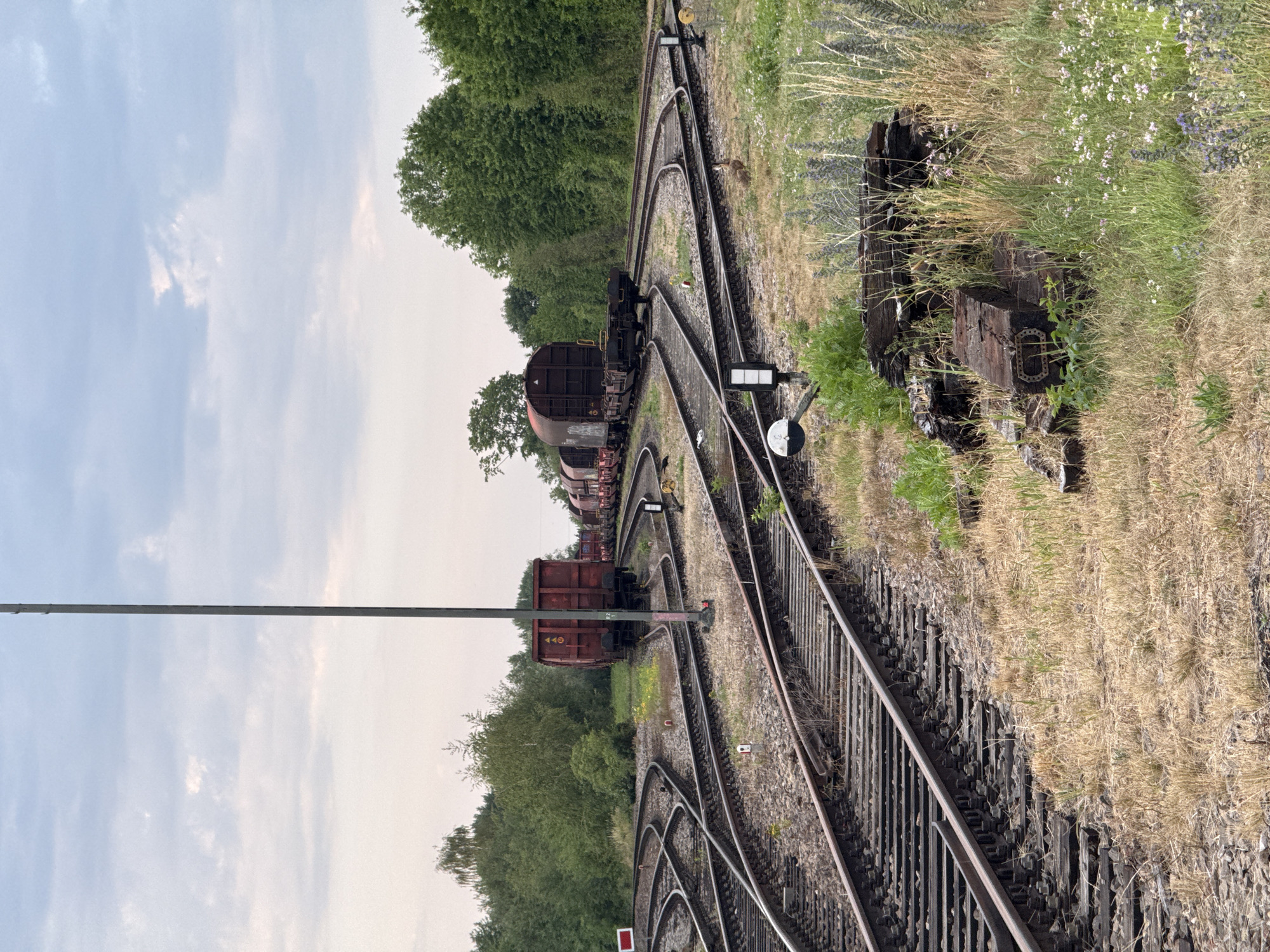 Red freight cars and a hare at a Regensburg rail yard