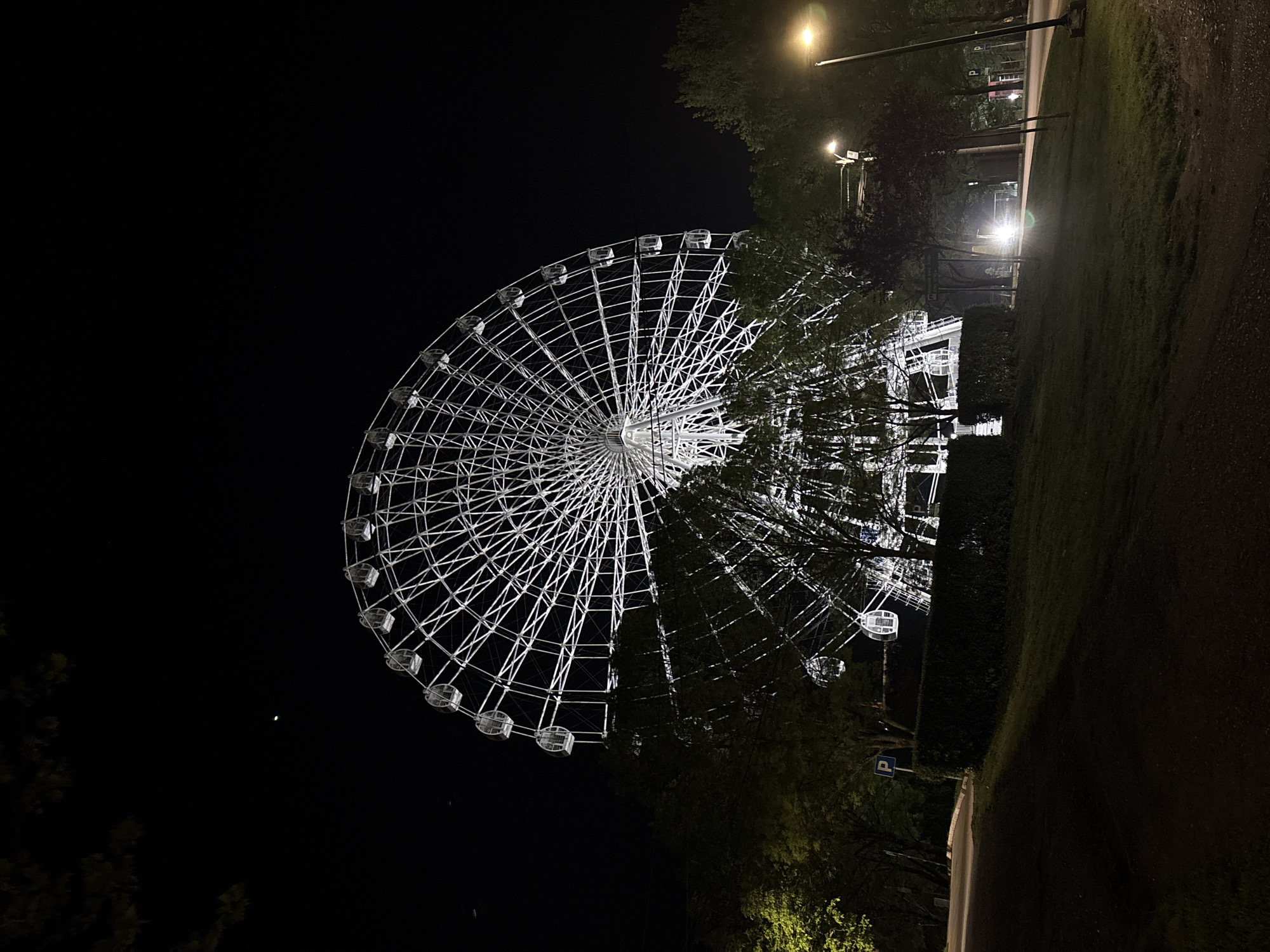 Illuminated Ferris wheel operates at night in Serbian municipality