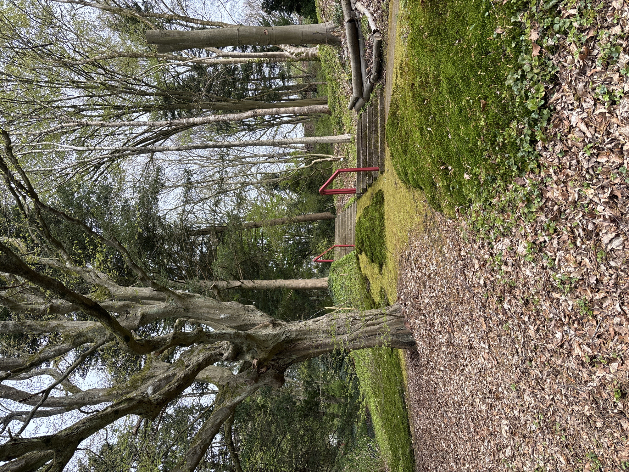 Morning walk through German botanical garden to university station
