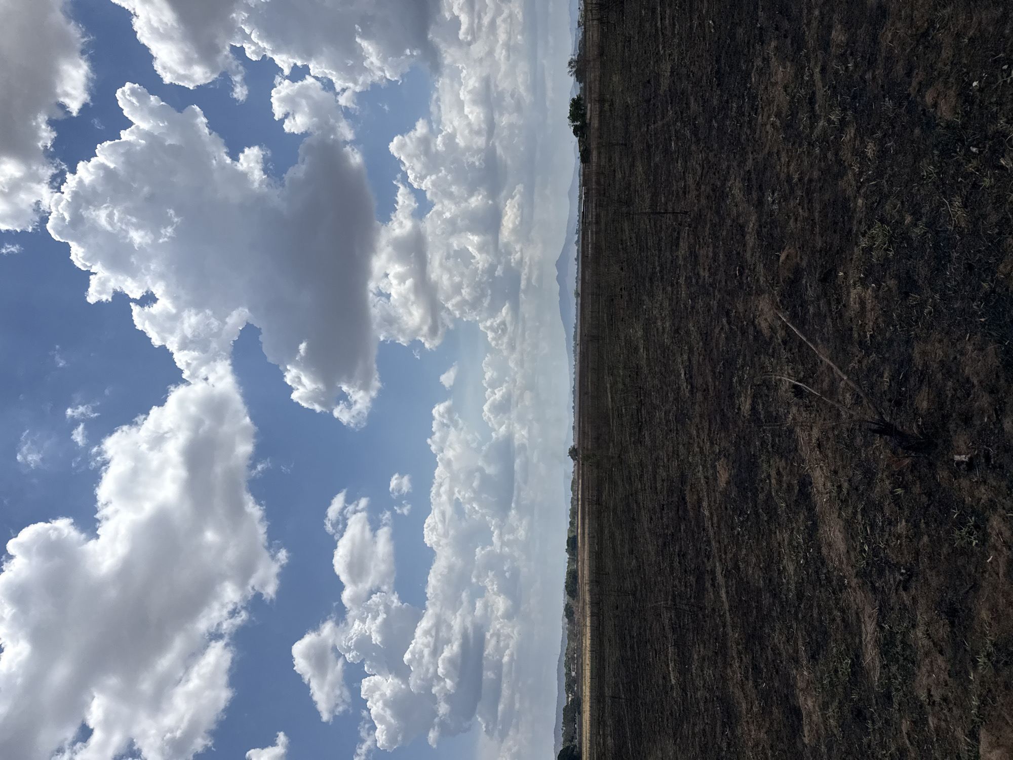 Burnt field documented across Cojedes region, Venezuela