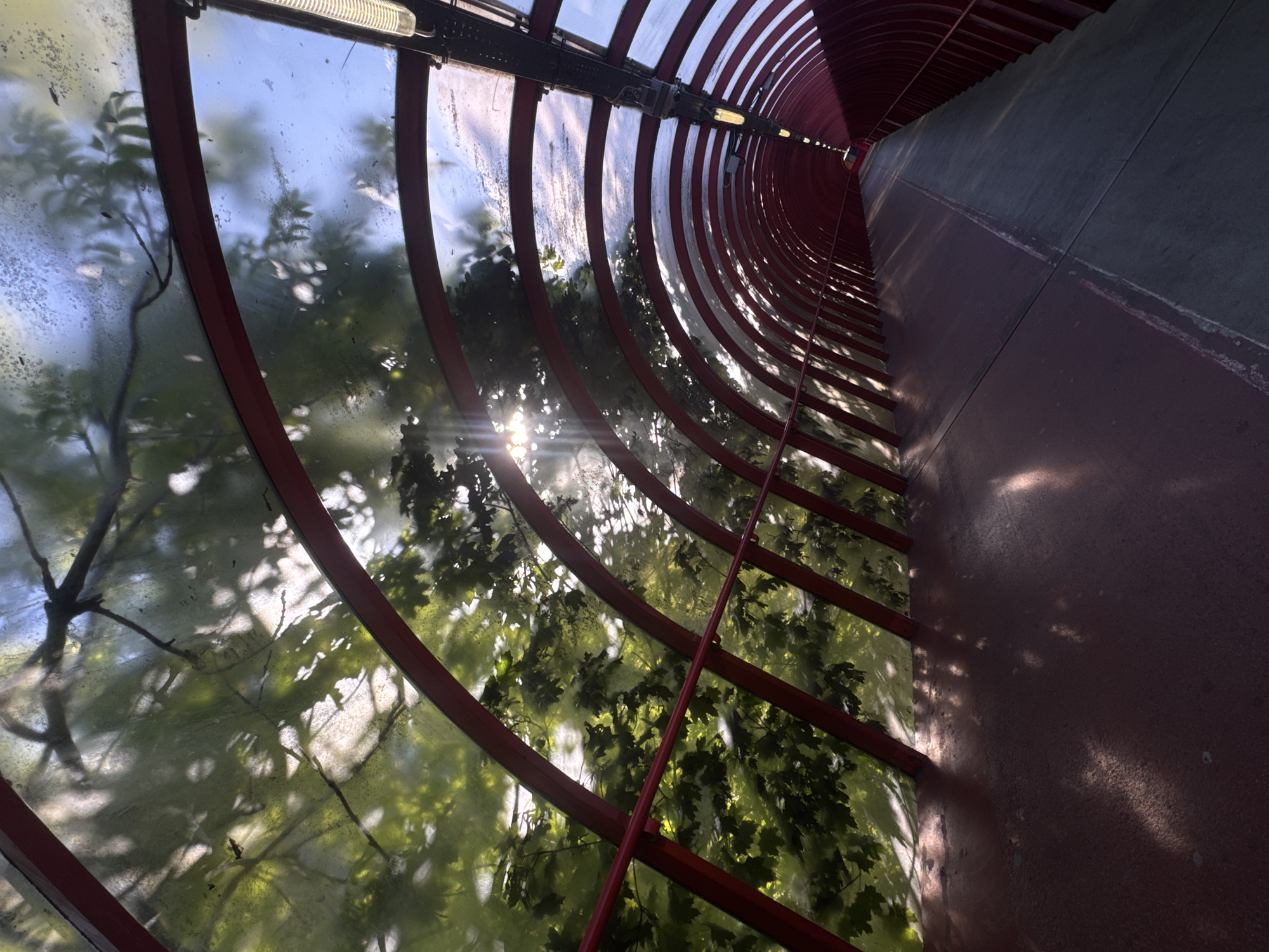 Glasgow Botanic Gardens tunnel structure documented by witnesses