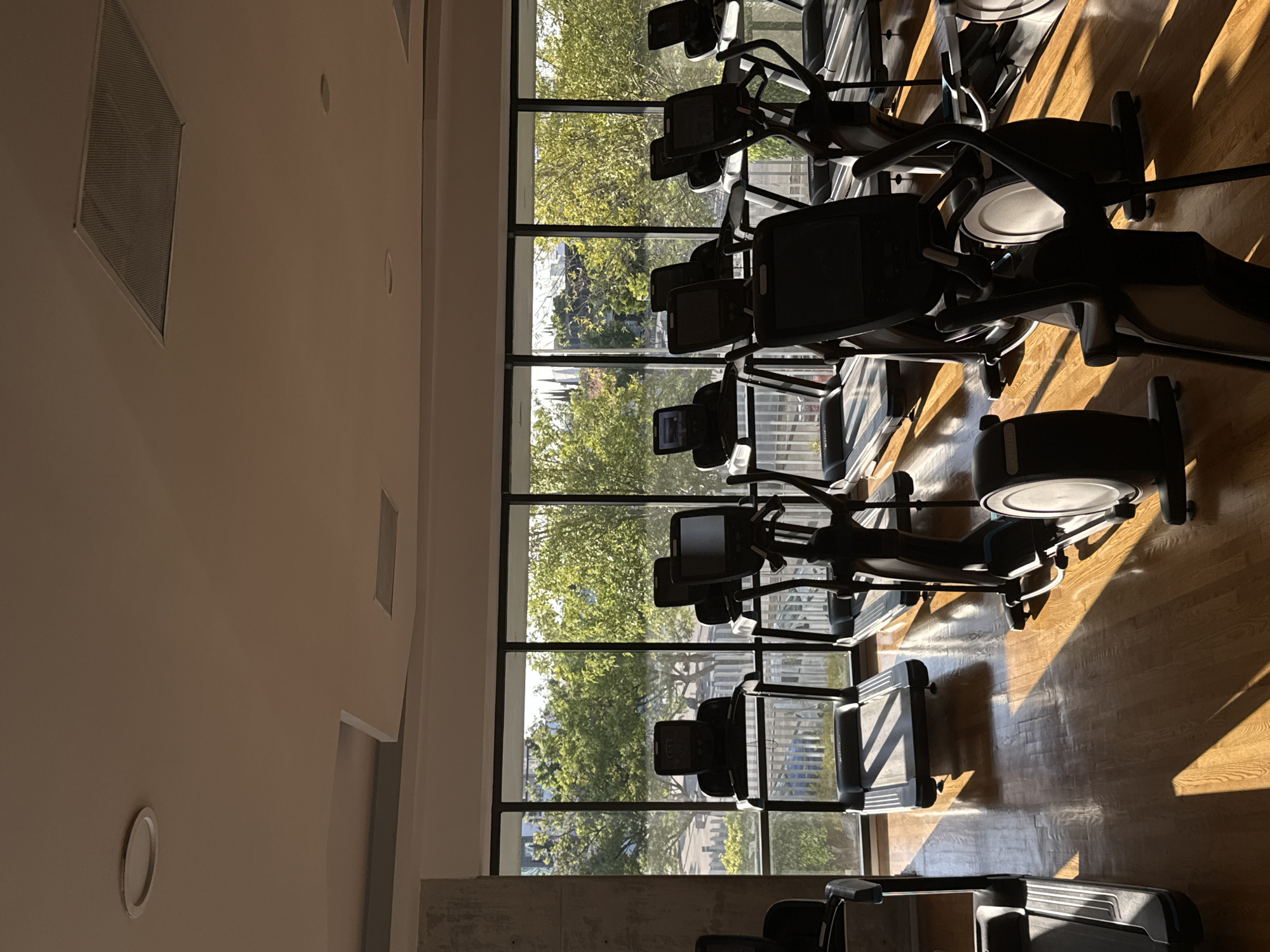 Fitness equipment documented at Puebla gym facility
