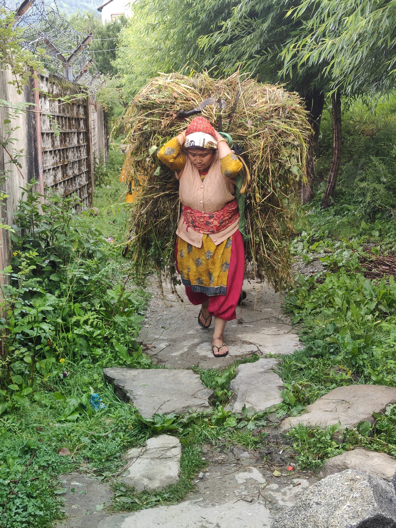 Village life and mountain landscapes in Bahang, India