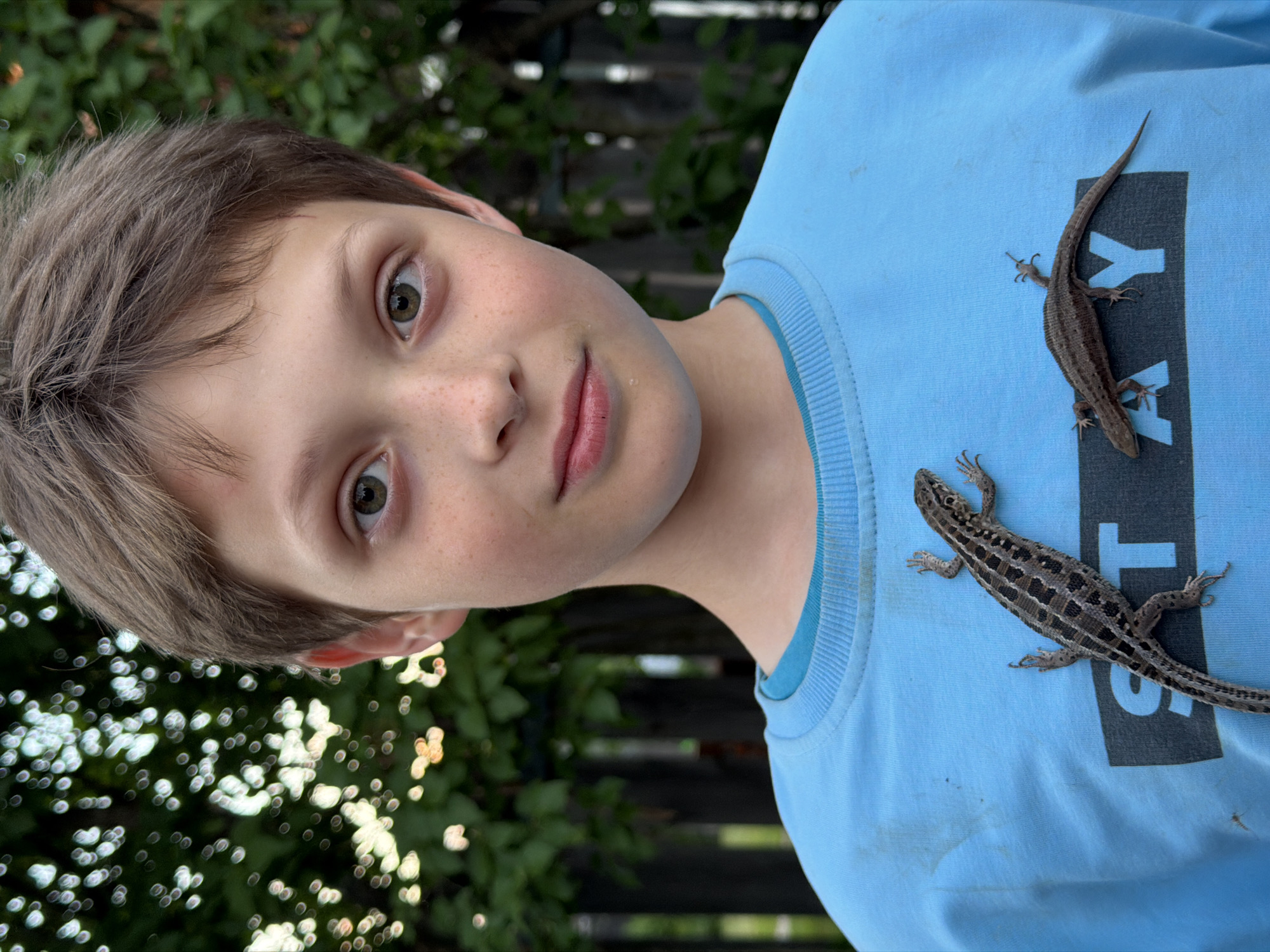 Boy handles lizards outdoors in rural Russian village