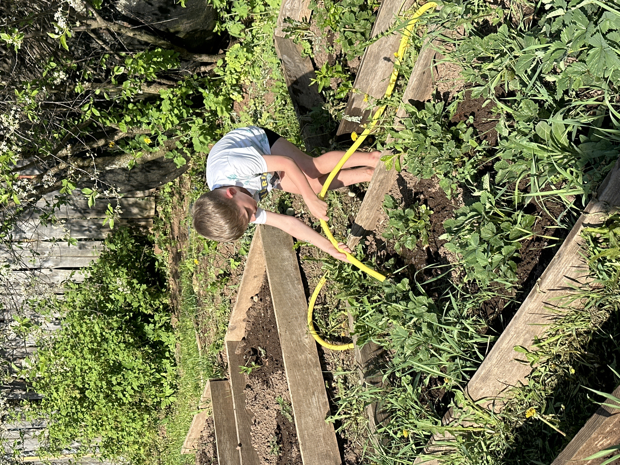 Boy tends garden with hose in Альняш, Russia