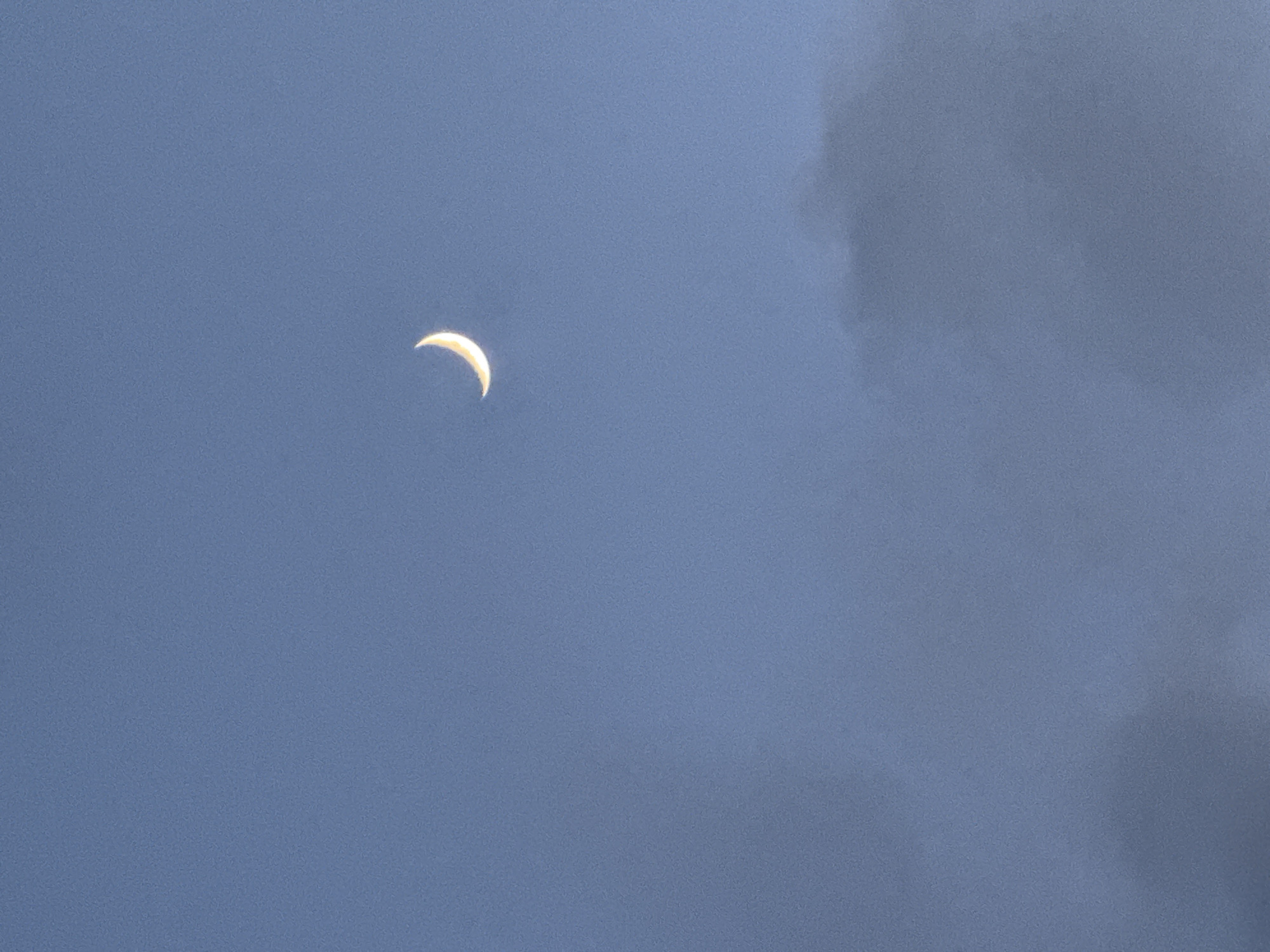 Gandia at dusk: parks, promenades, and a crescent moon